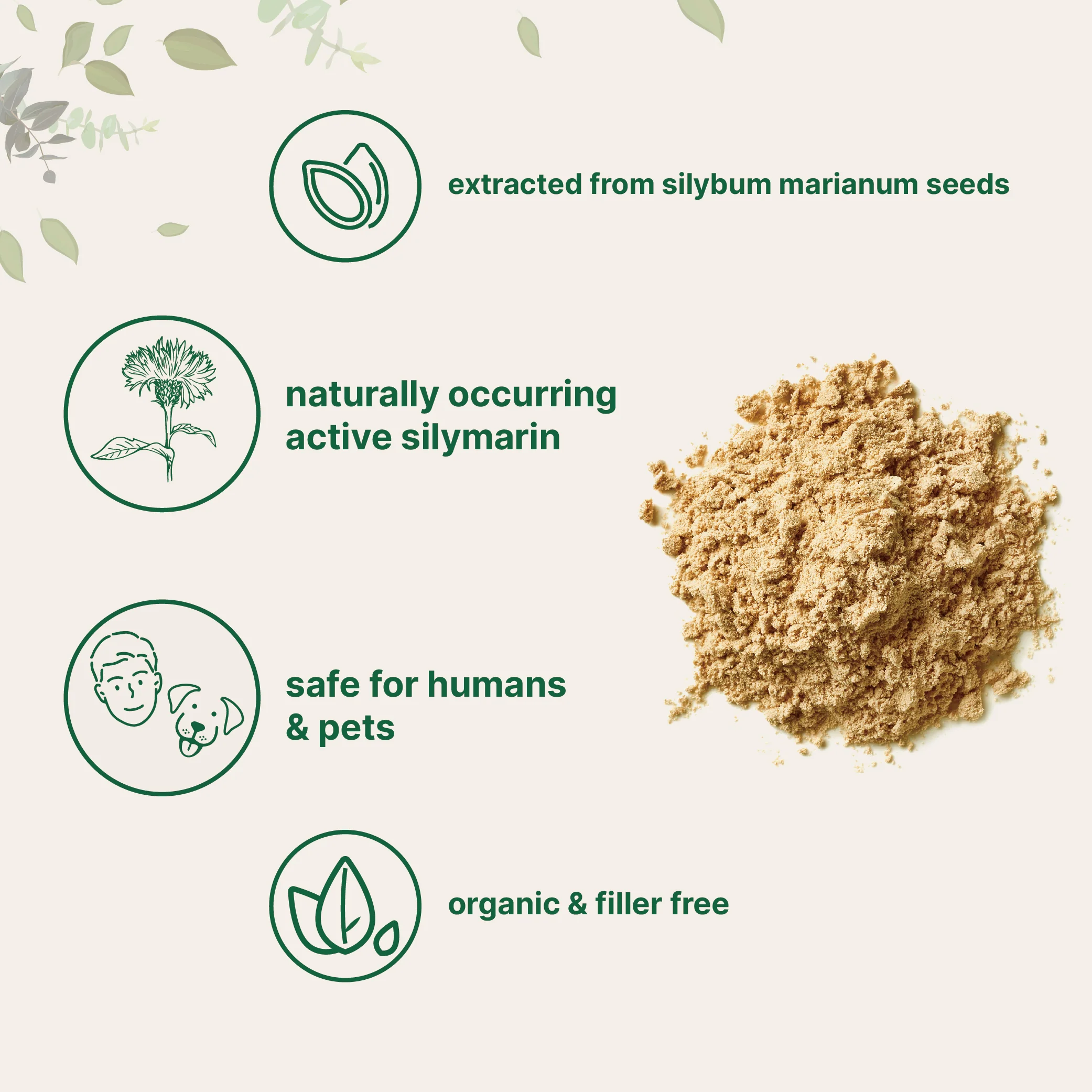 Micro Ingredients Organic Milk Thistle Powder - Image 5