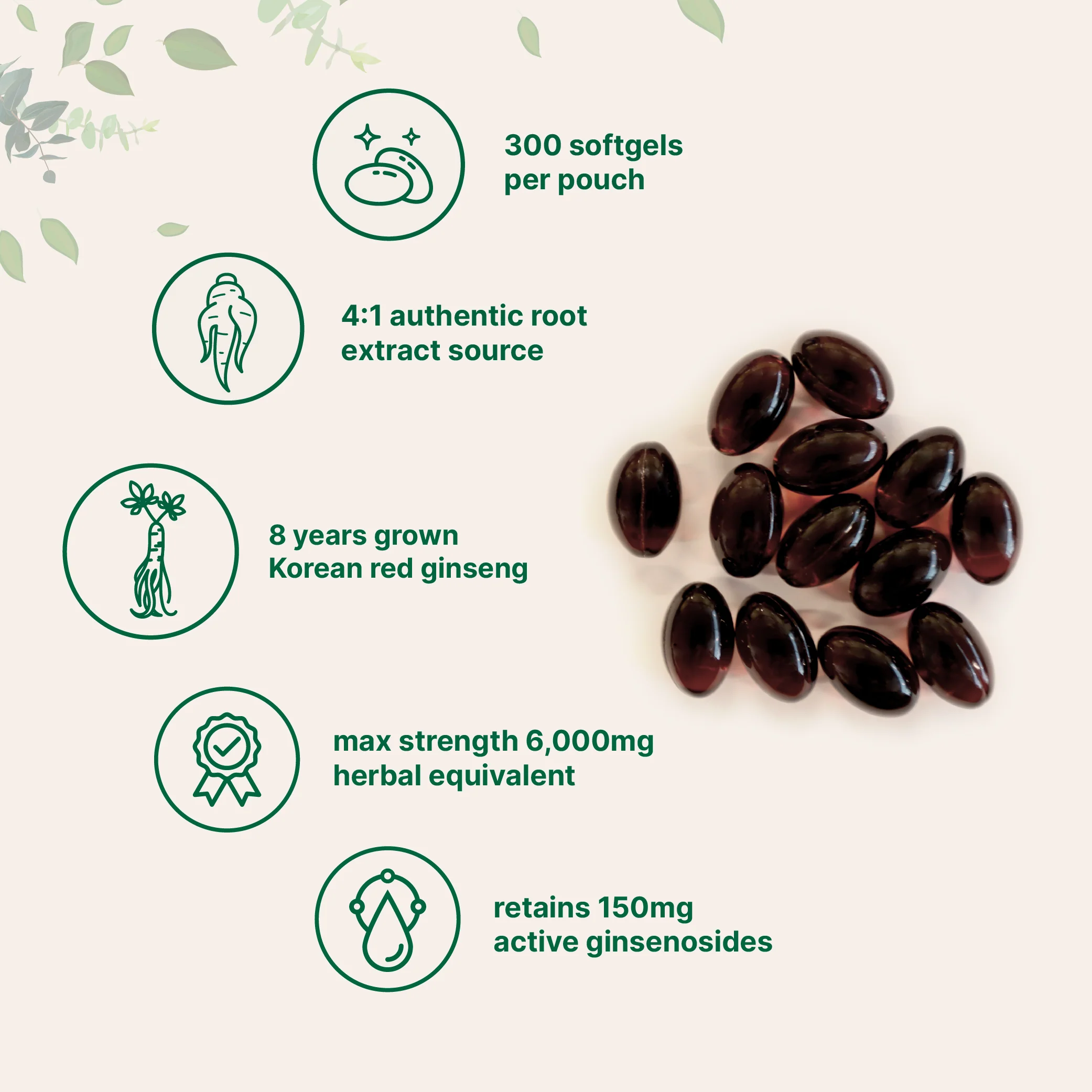 Micro Ingredients Red Panax Ginseng Supplement 6,000mg Per Serving, 300 Softgels - Image 3