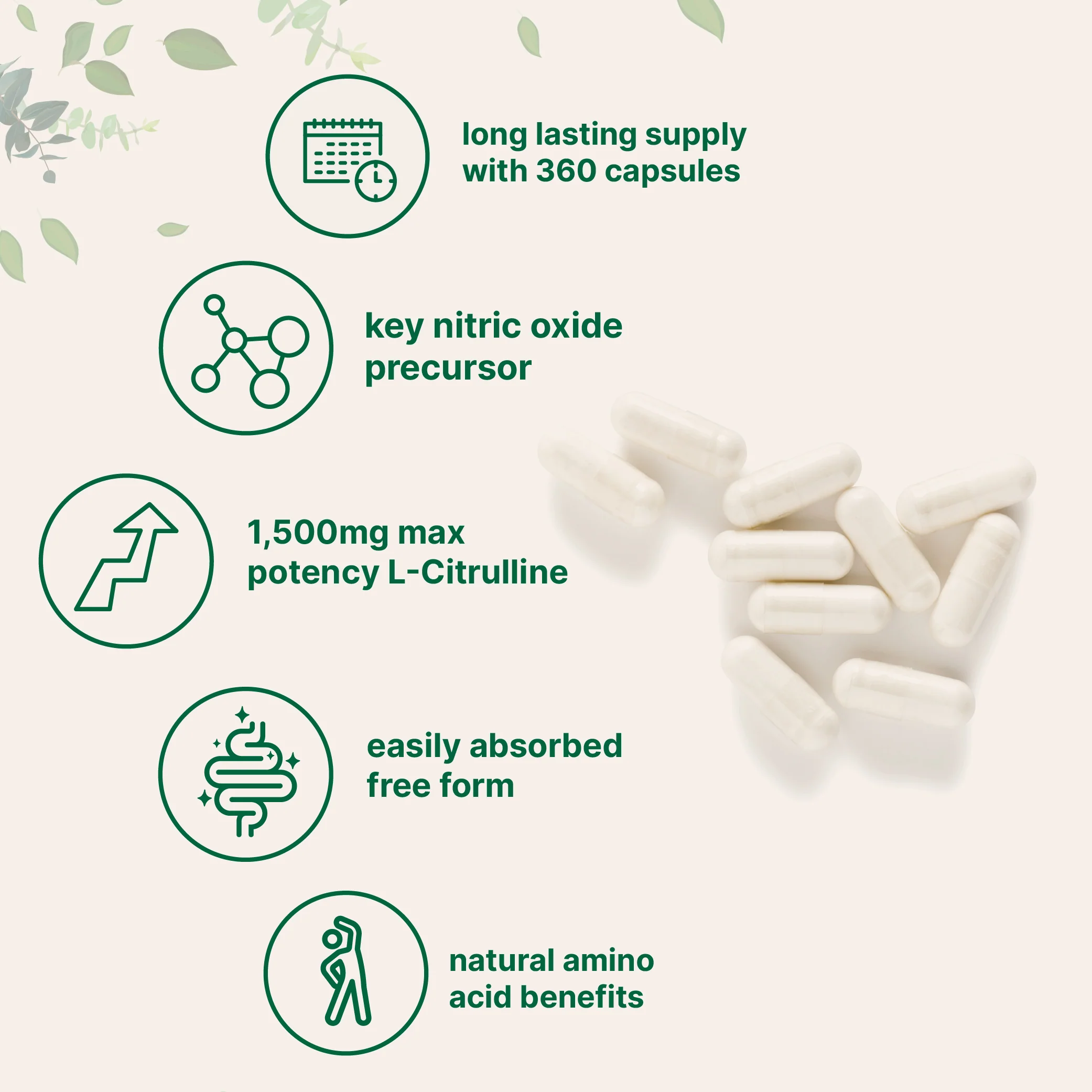 Micro Ingredients L-CITRULLINE Capsules, 1500mg Per Serving - Image 3