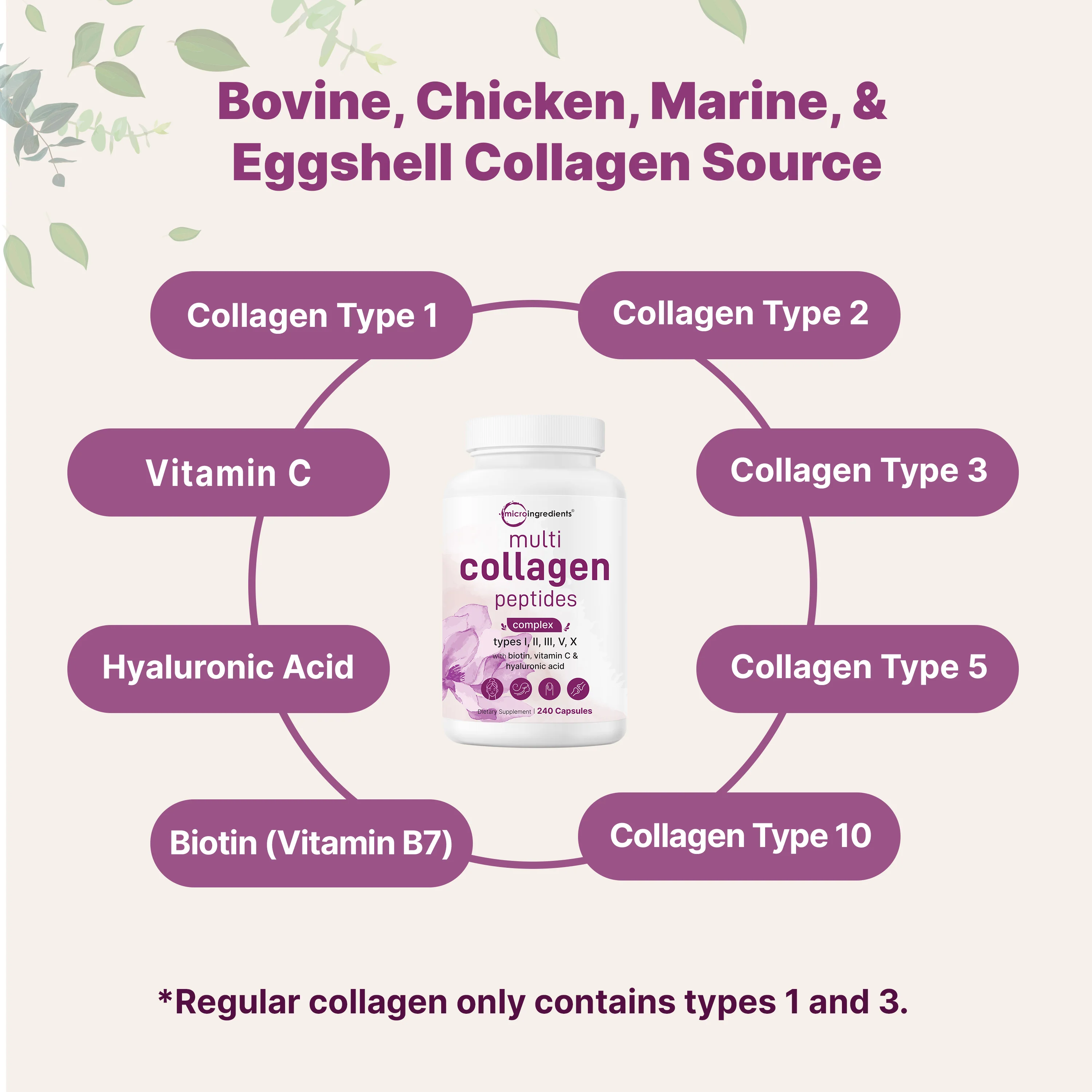 Micro Ingredients 2 Pack Multi Collagen Pills for Women & Men, 480 Capsules - Image 4
