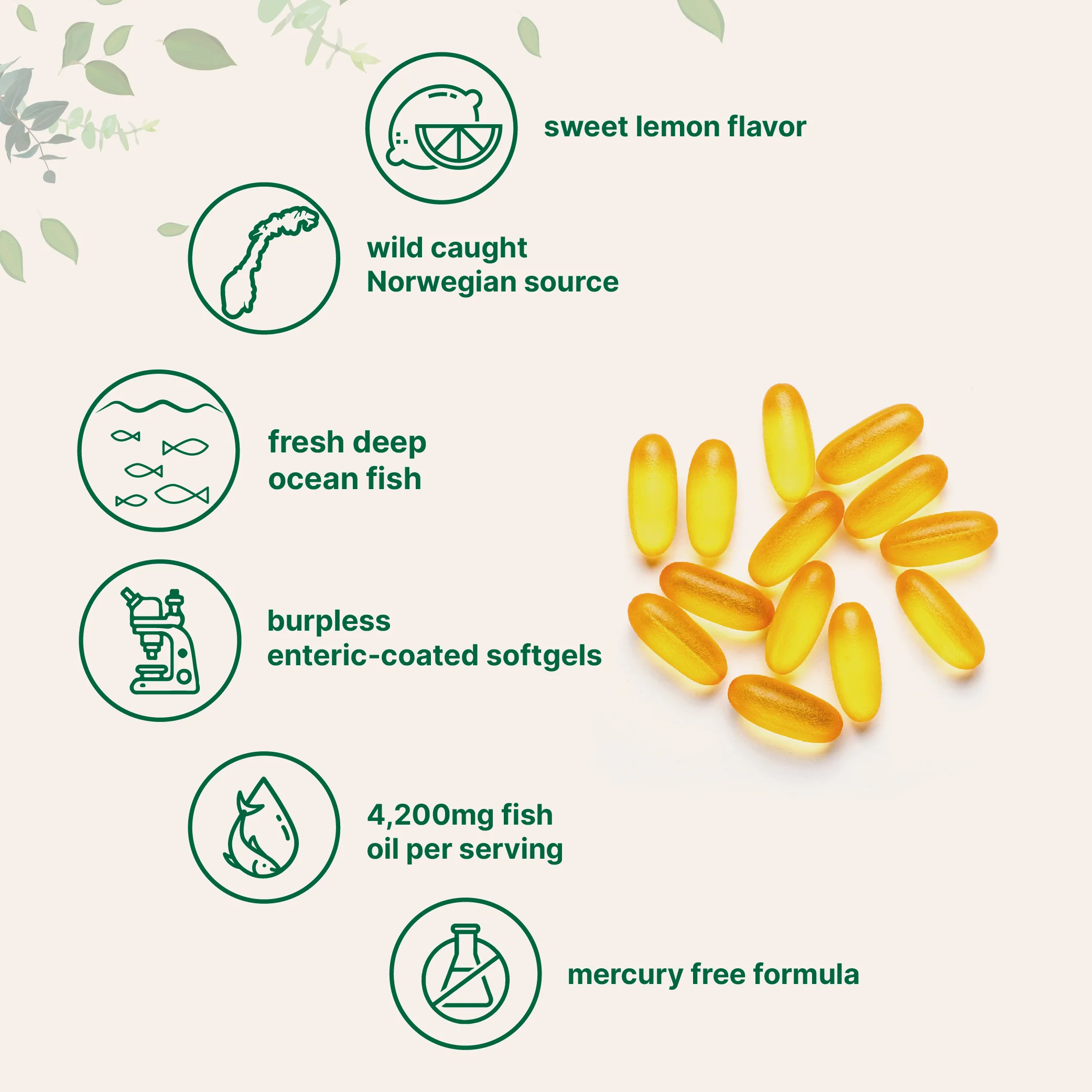 Boise Brooke's Choice Bundle: Vitamin D3K2 5000IU & Omega Fish Oil 120 Softgels - Image 7