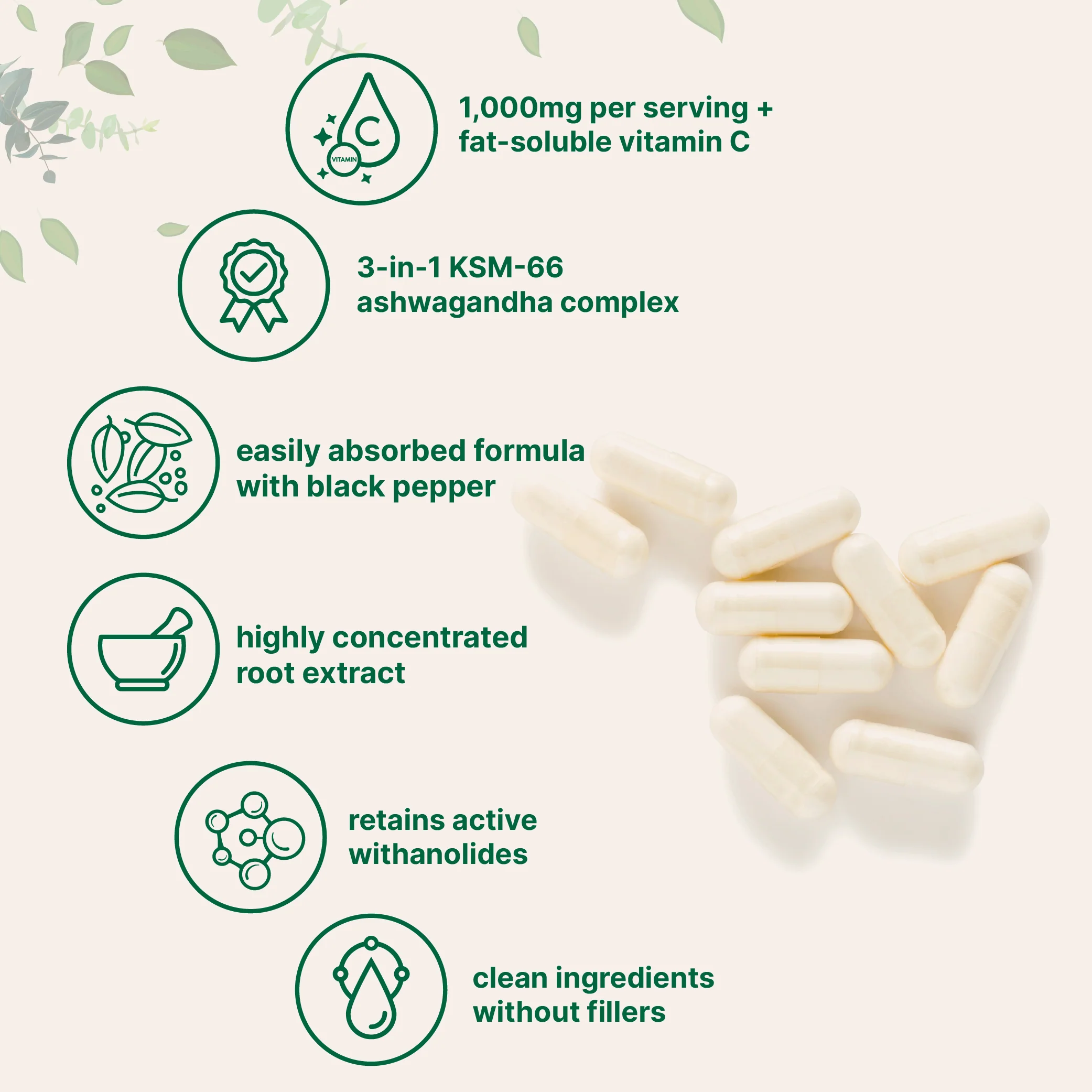 Micro Ingredients KSM-66 Ashwagandha 1,000mg Per Serving 120 Veggie Capsules - Image 3