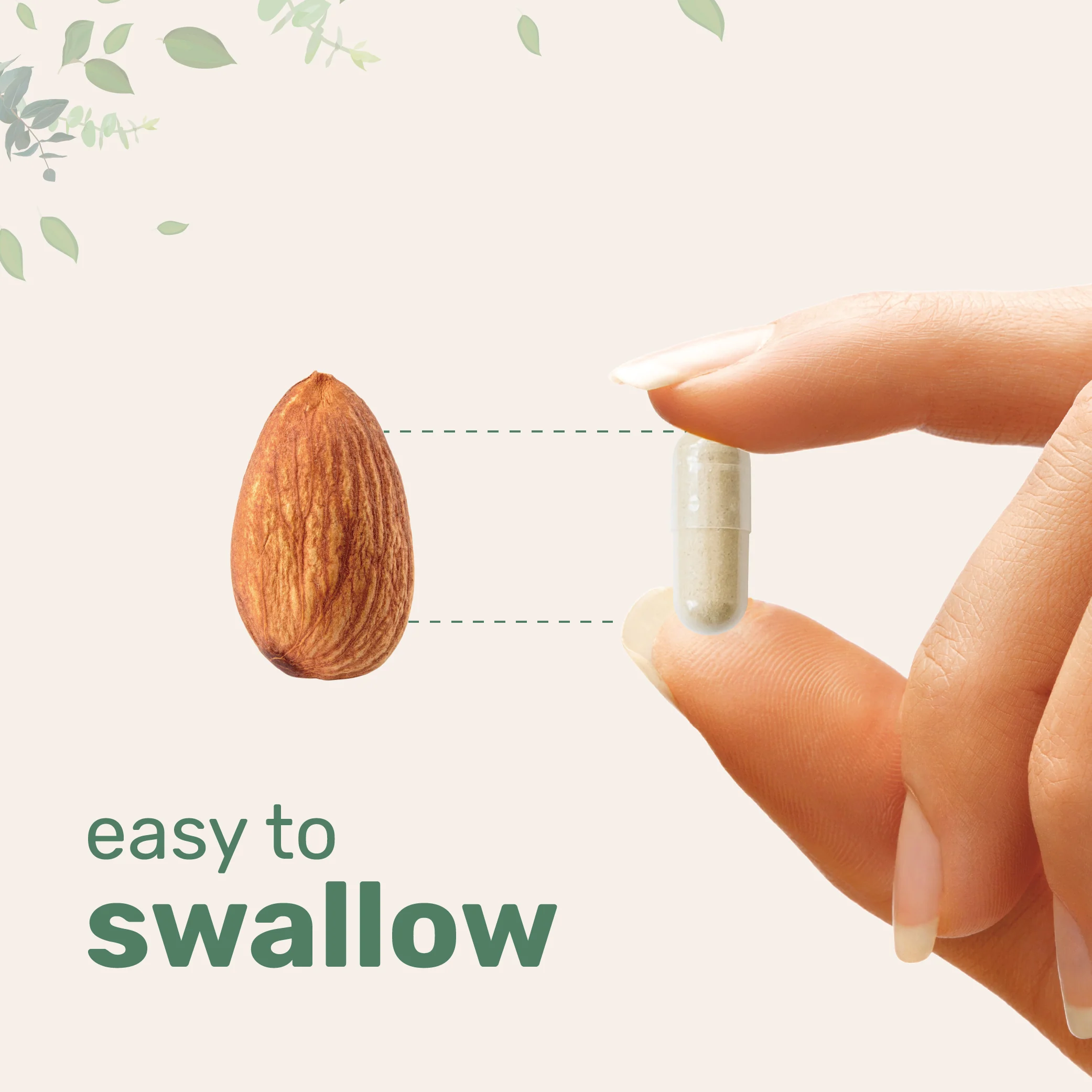 Micro Ingredients KSM-66 Ashwagandha 1,000mg Per Serving 120 Veggie Capsules - Image 5