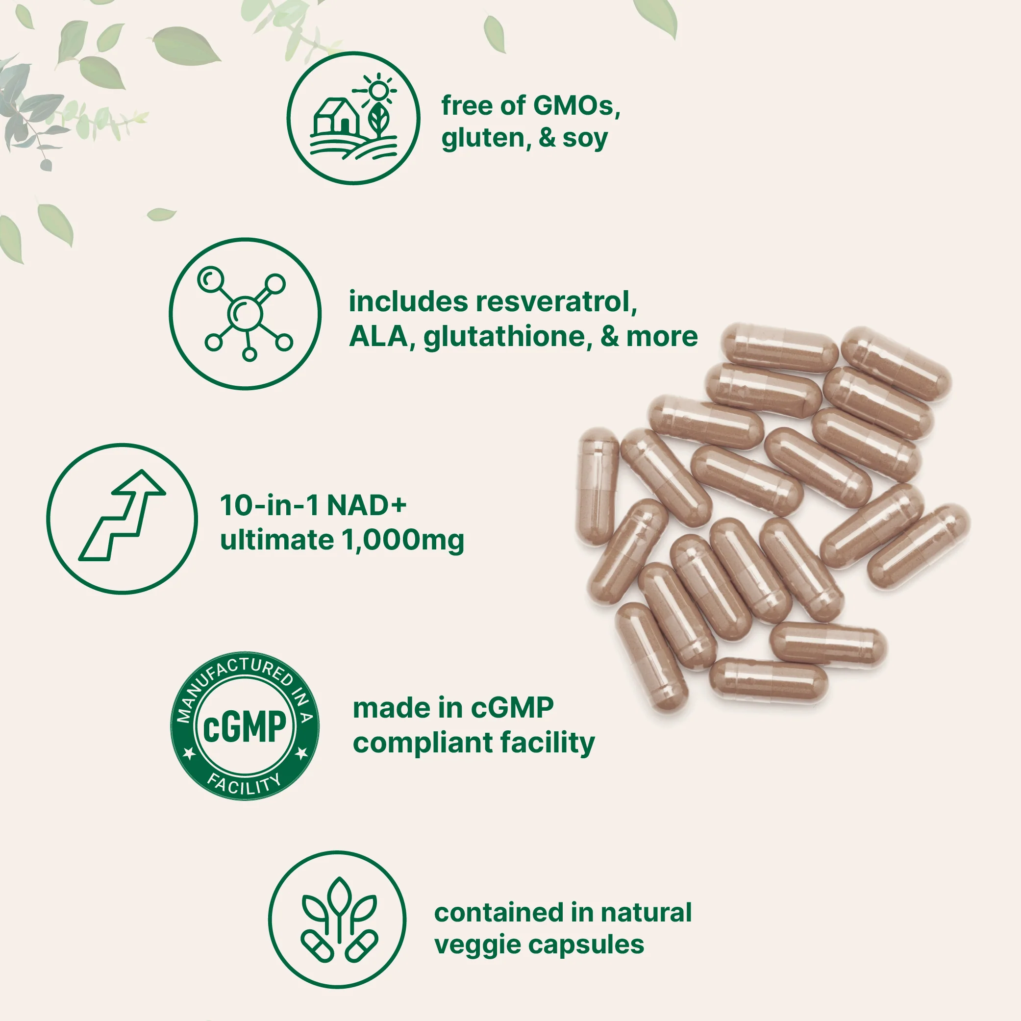 Micro Ingredients Liposomal NAD+ Ultimate 1,000mg, 60 Veggie Capsules - Image 3