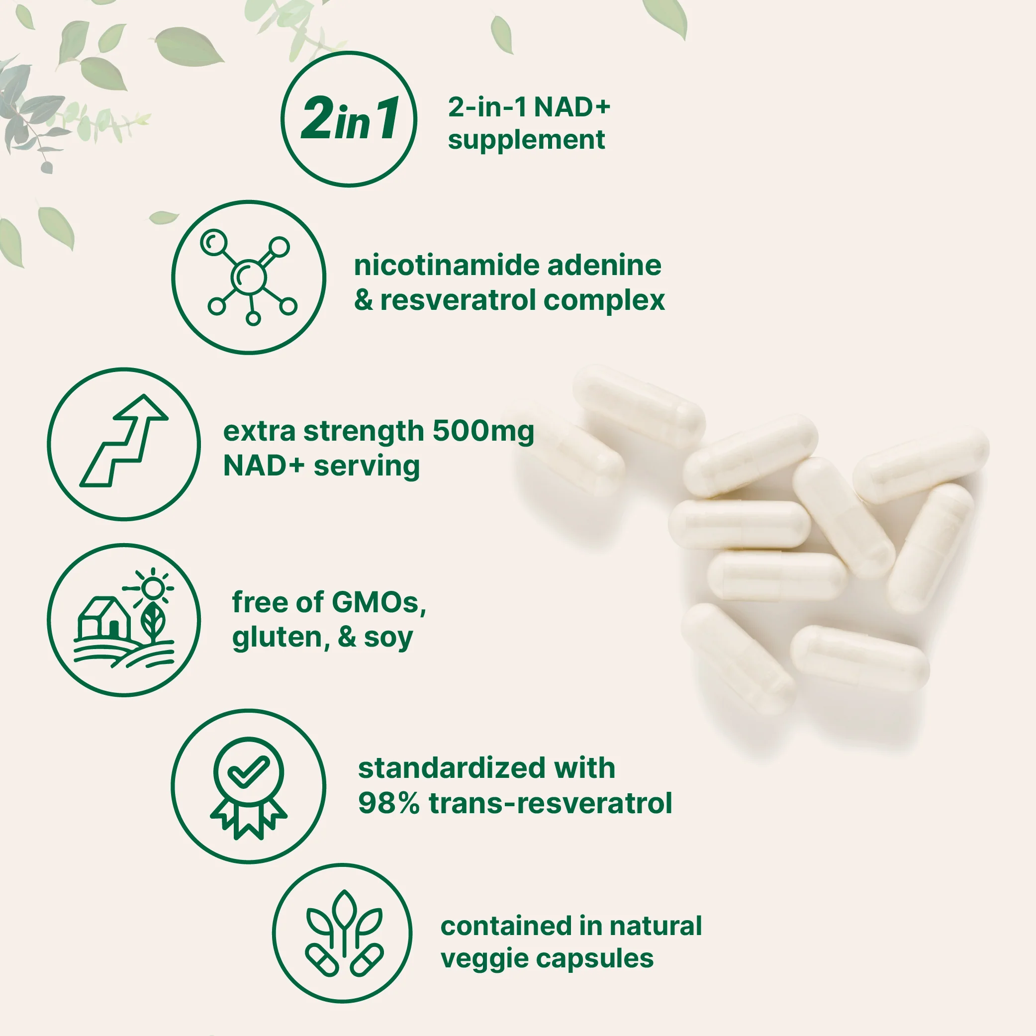 Micro Ingredients NAD+ Supplement 500mg with Resveratrol, 240 Veggie Capsules - Image 3