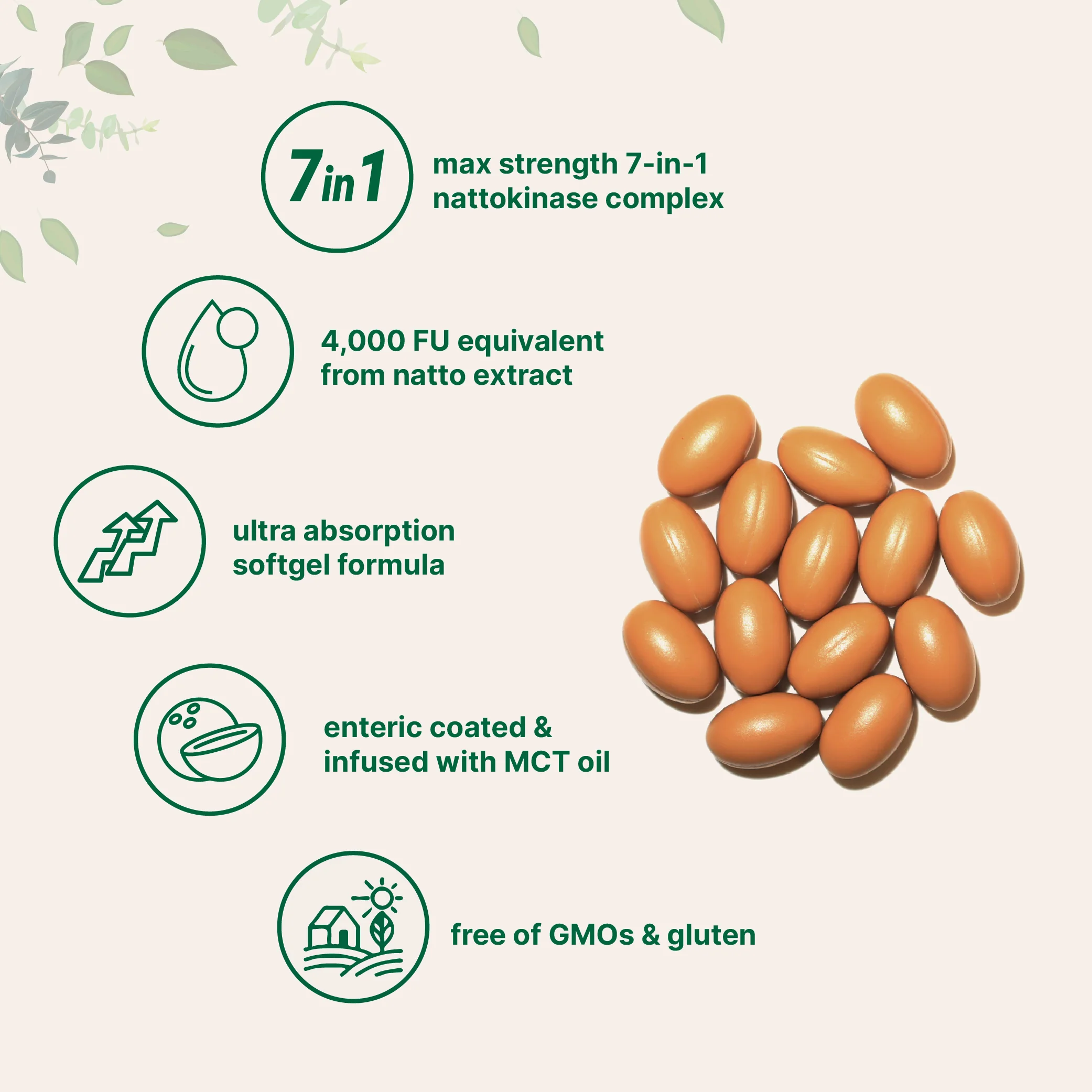 Micro Ingredients Nattokinase 4,000 FU Equivalent, 240 Enteric Coated Softgels with MCT Oil - Image 3