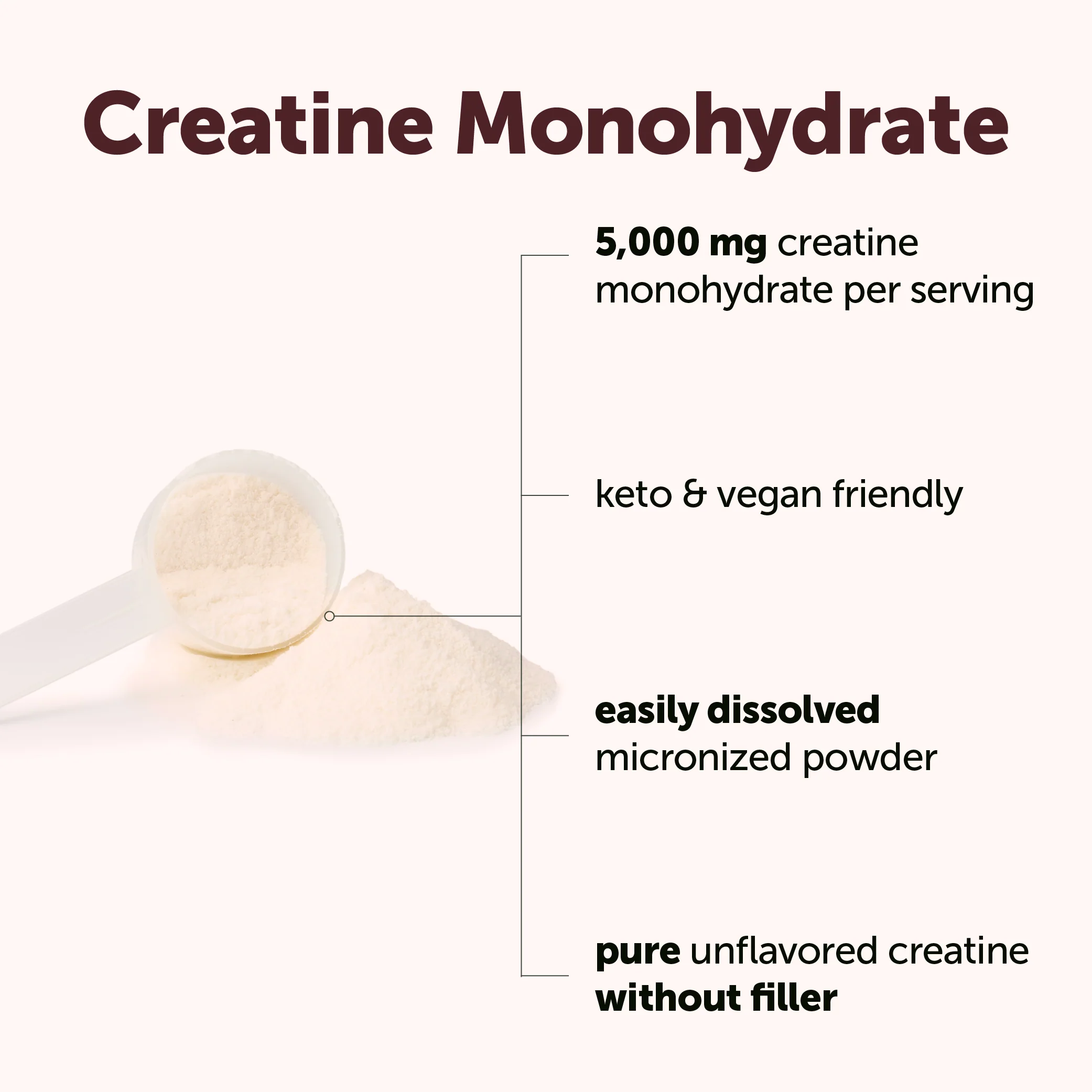 Micro Ingredients Micronized Creatine Monohydrate Powder - Unflavored - Image 4