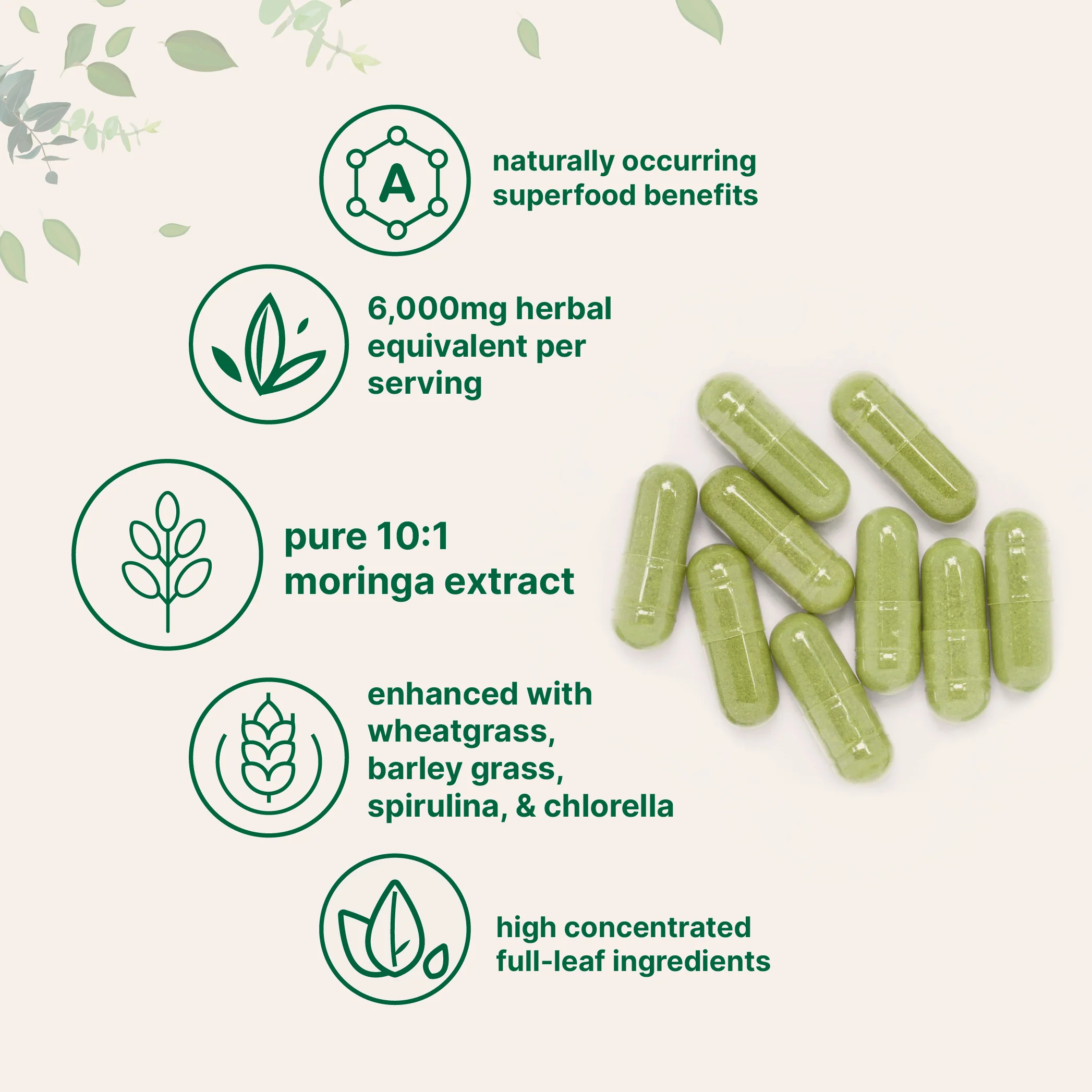 Moringa Oleifera 6,000mg Equivalent, 300 Capsules with Supergreens Blend of Wheatgrass, Barley Grass, Spirulina, & Chlorella - Image 3