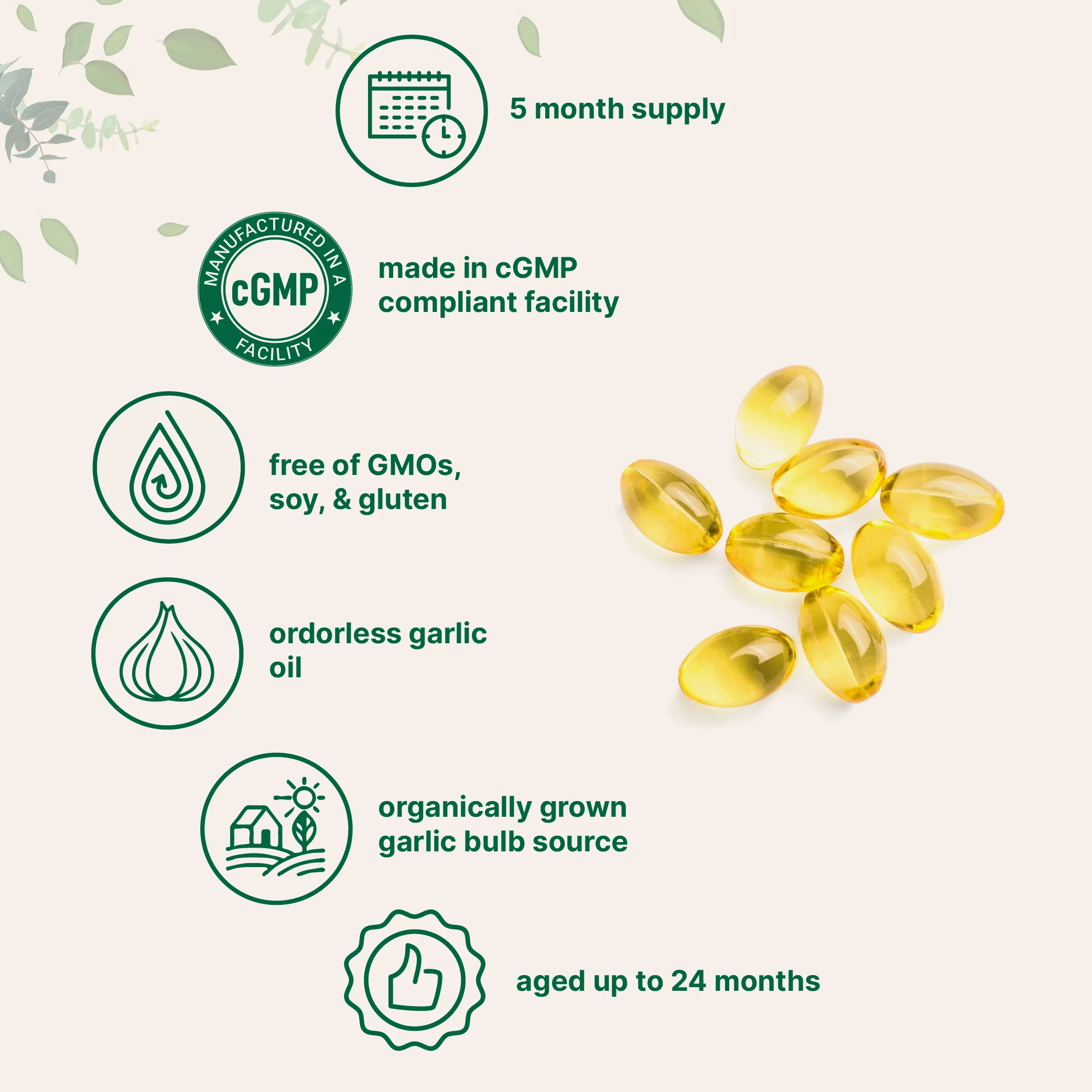 Micro Ingredients Odorless Aged Garlic Extract, 300 Softgels - Image 3