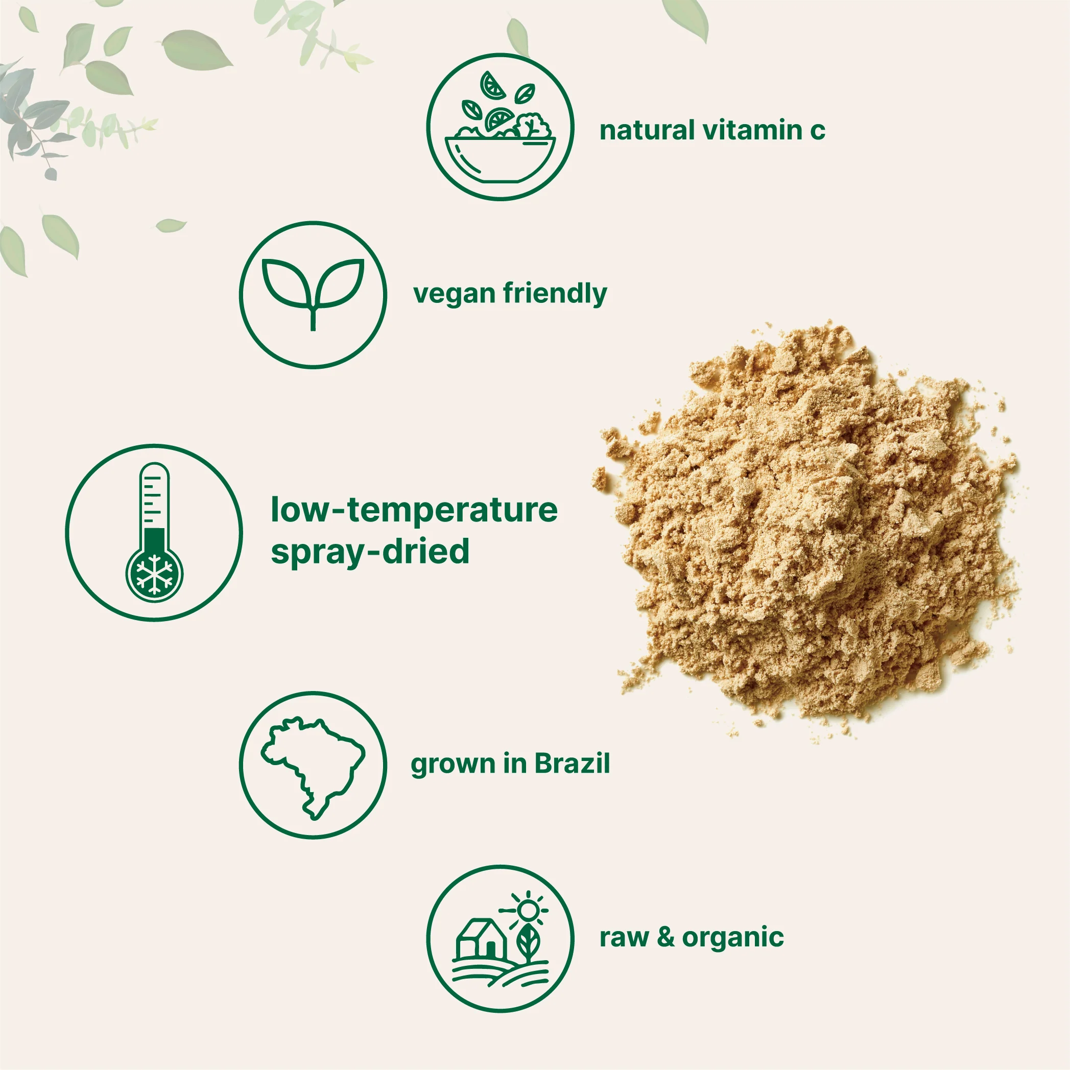 Micro Ingredients Organic Acerola Cherry Powder, 8oz - Image 5