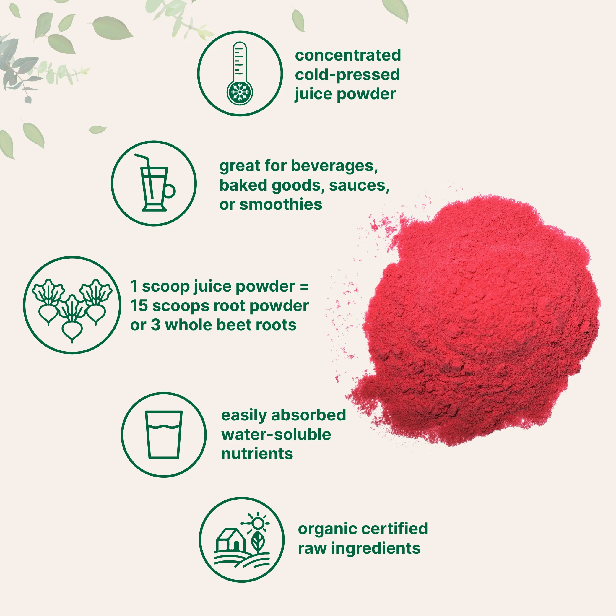 Micro Ingredients Organic Beet Root Juice Powder, 1 Pound - Image 4