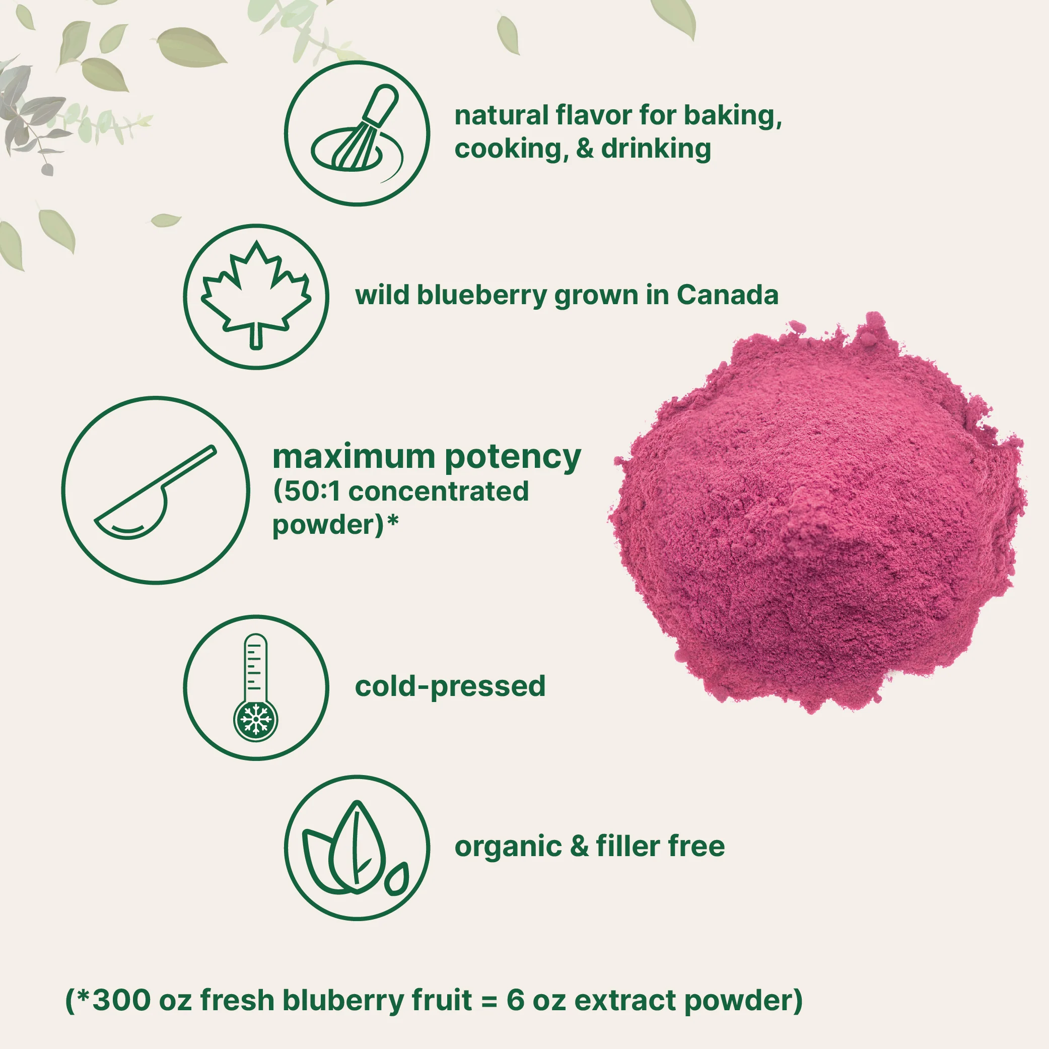 Micro Ingredients Organic Blueberry Extract Powder, 10oz - Image 3