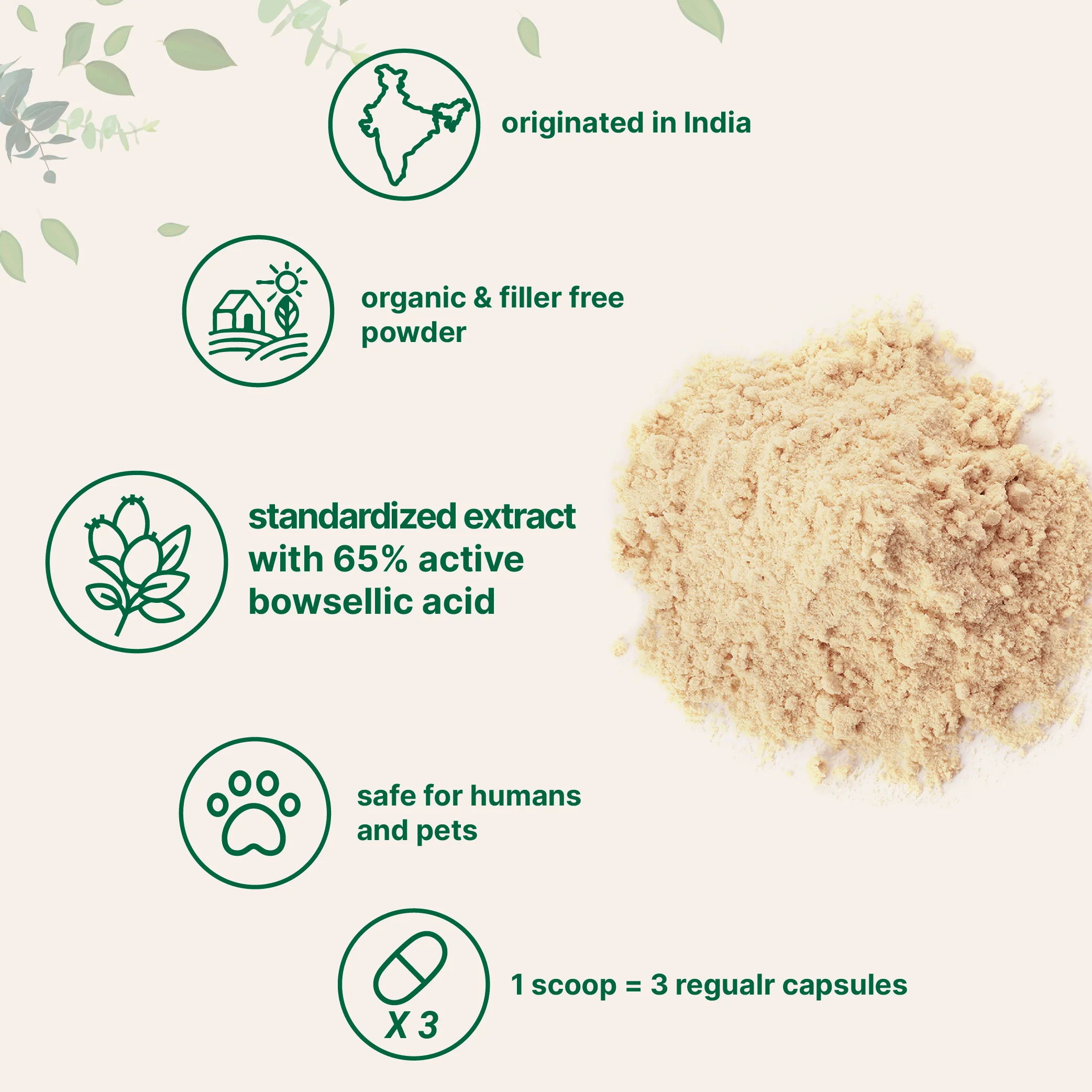 Micro Ingredients Premium Organic Boswellia Serrata Powder - Image 3