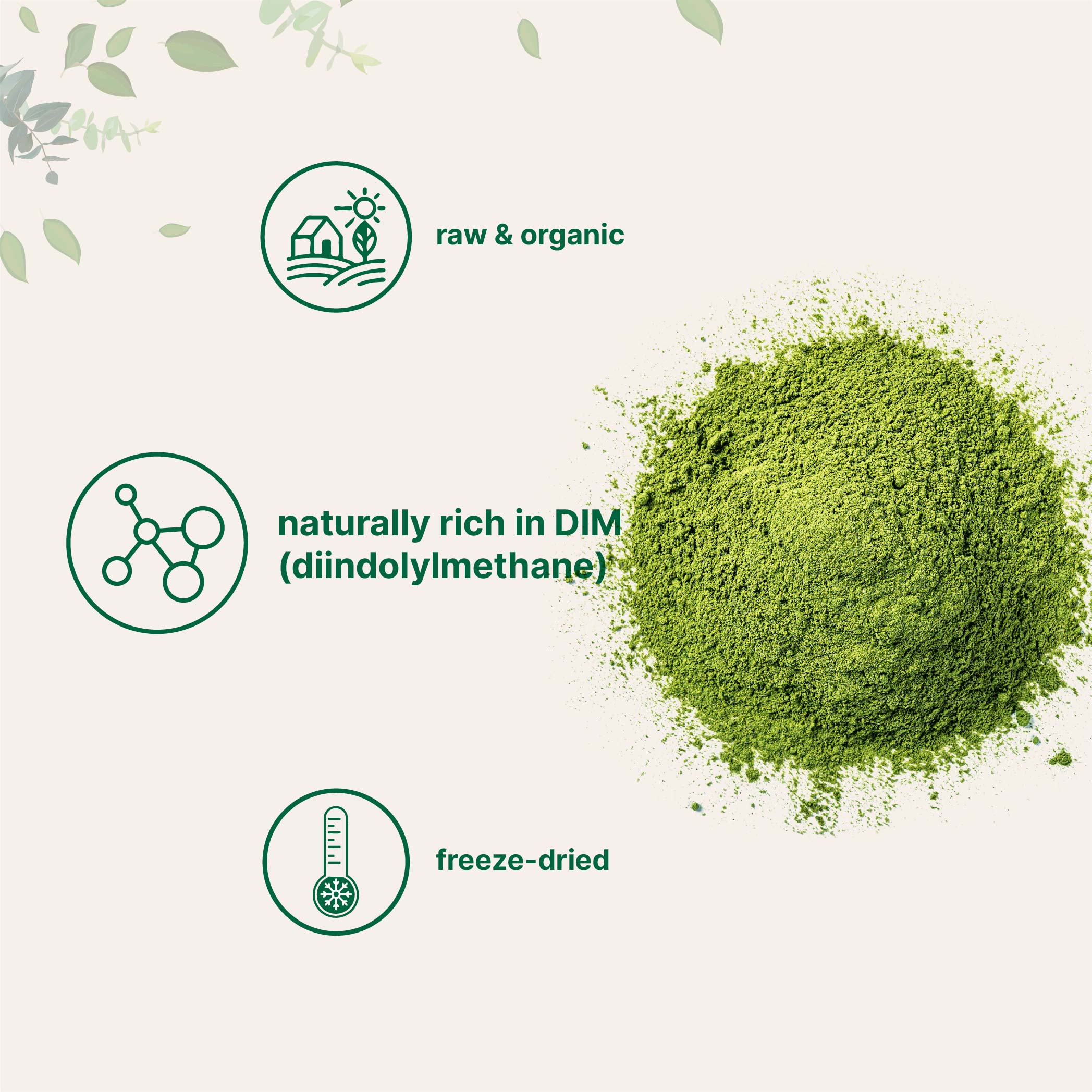Micro Ingredients Organic Broccoli Powder, 1lb - Image 3