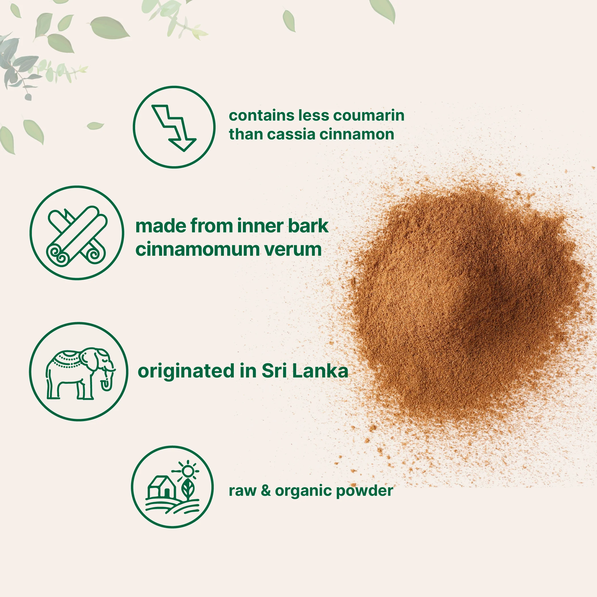 Micro Ingredients Organic Ceylon Cinnamon Powder - Image 7