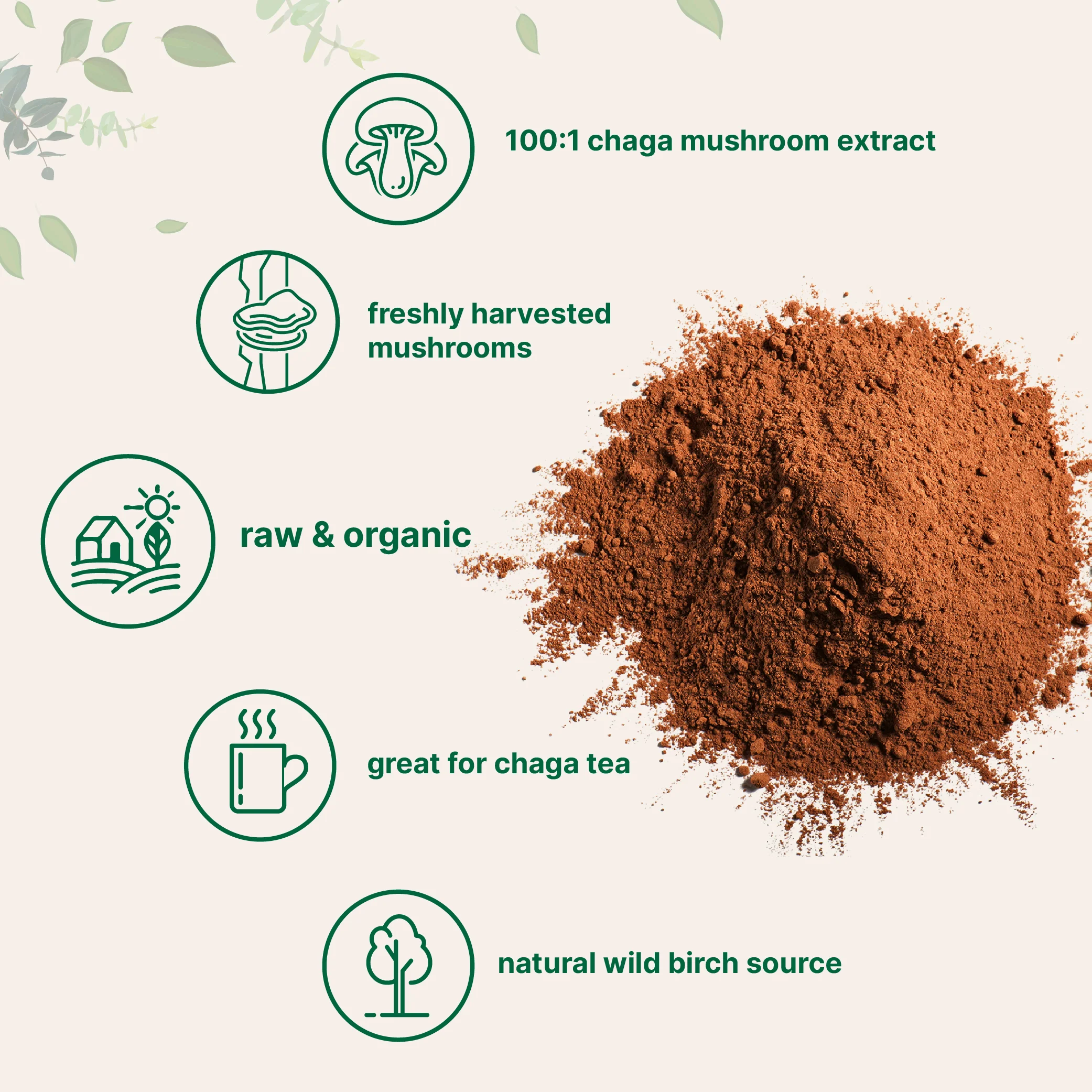 Micro Ingredients Organic Chaga Mushroom Extract 100:1 Powder, 10 Ounce - Image 3