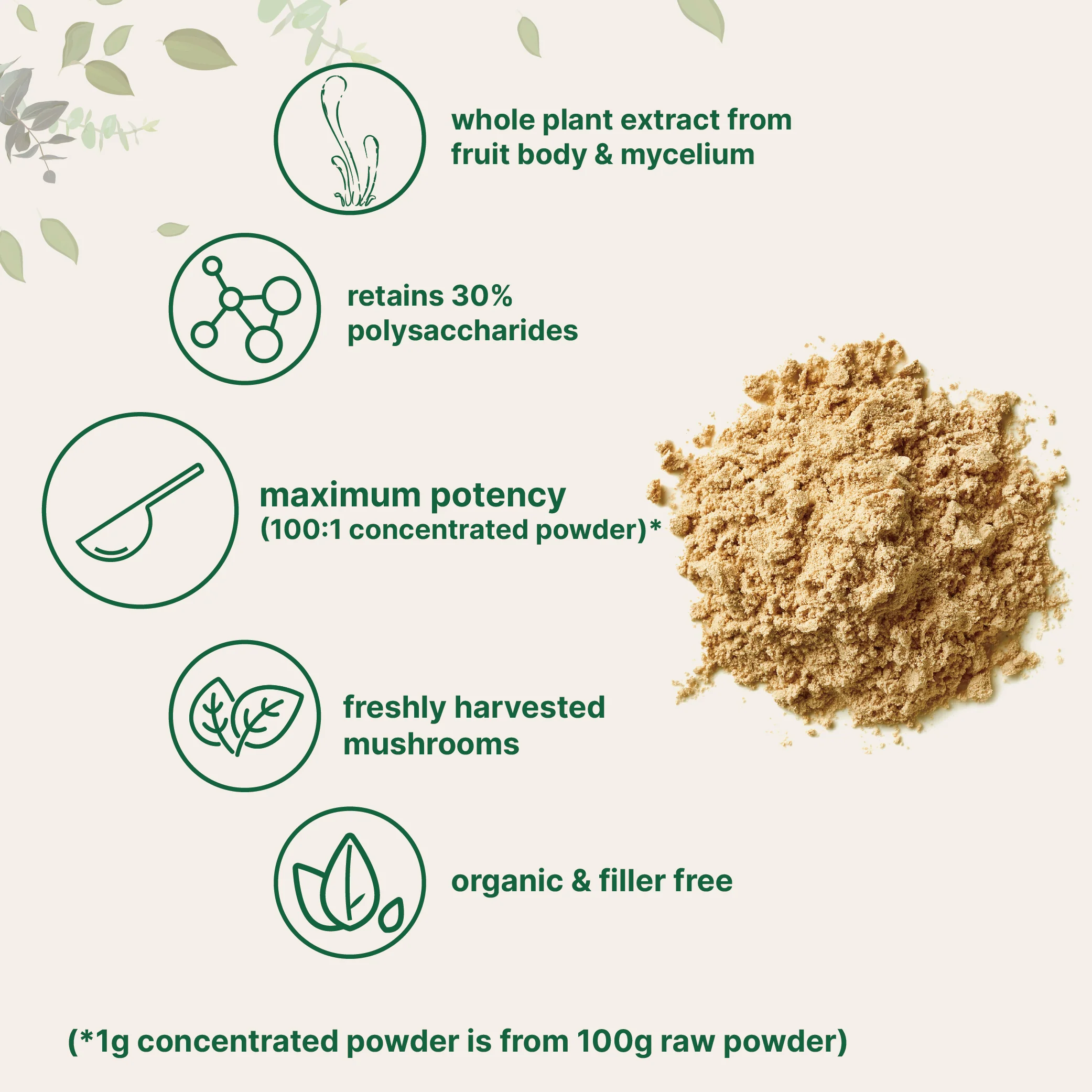 Micro Ingredients Organic Cordyceps Mushroom Extract Powder, 8 Ounces - Image 3
