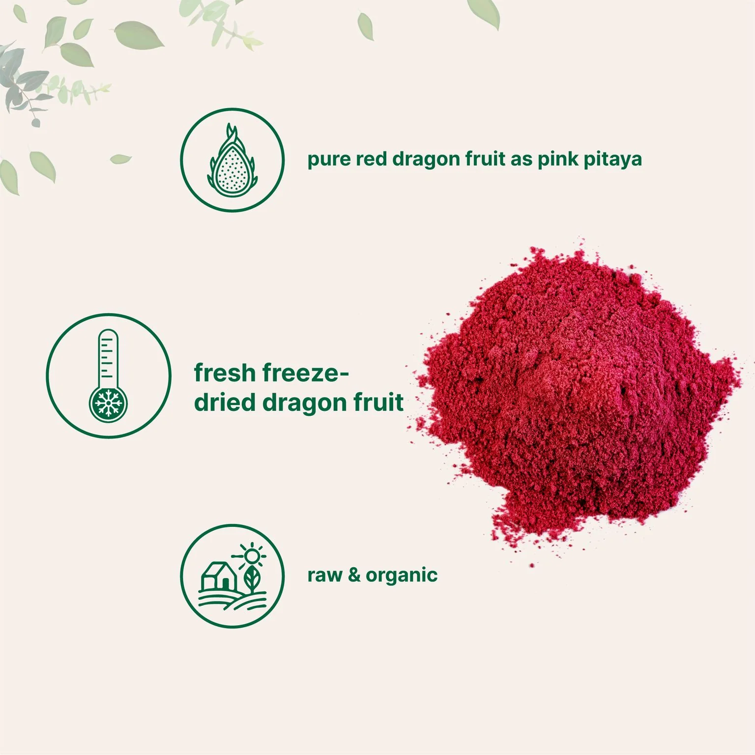 Micro Ingredients Organic Dragon Fruit Powder - Image 3