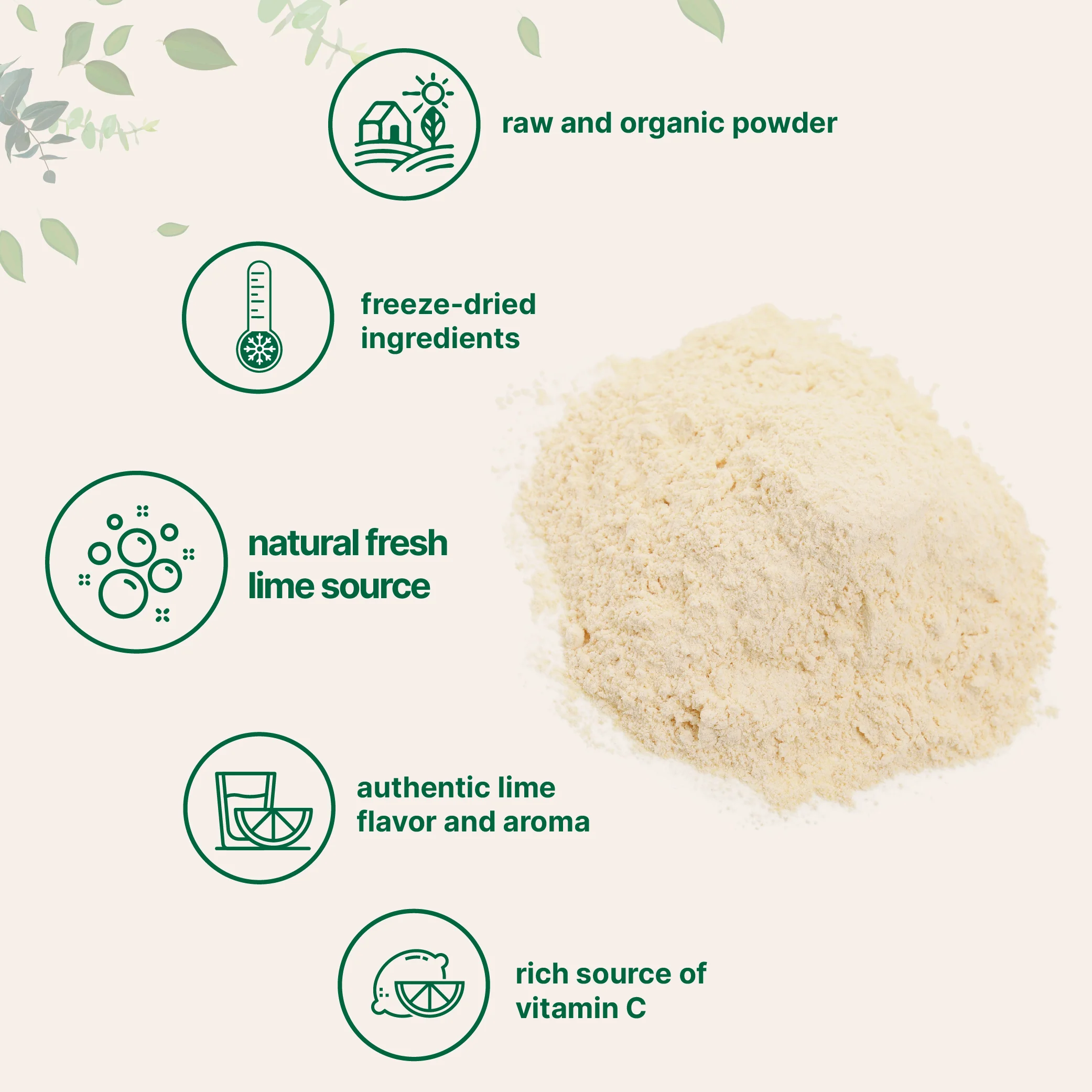 Micro Ingredients Organic Freeze-Dried Lime Powder, 1.5lbs - Image 3