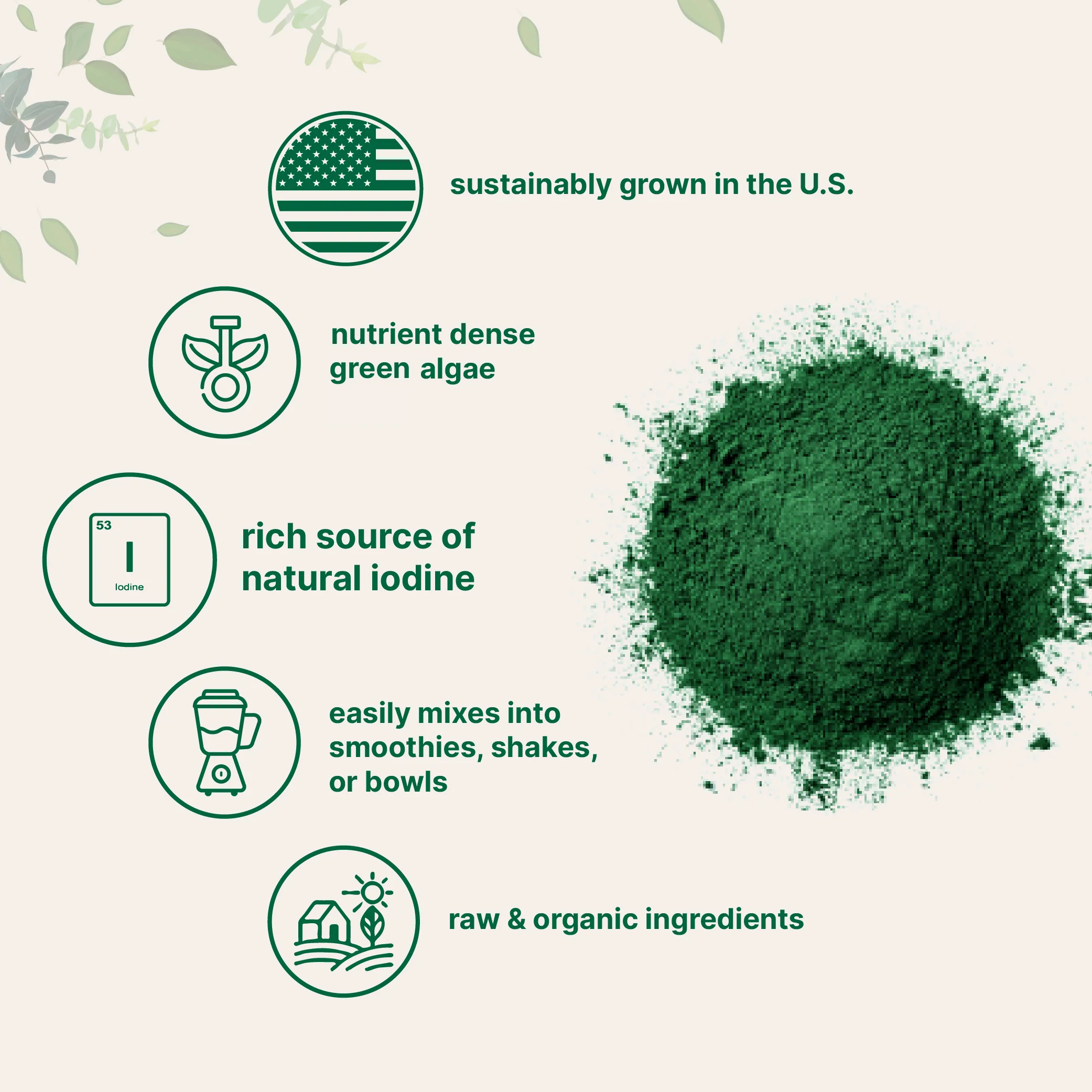 Micro Ingredients Organic Kelp Powder Supplement - Image 4