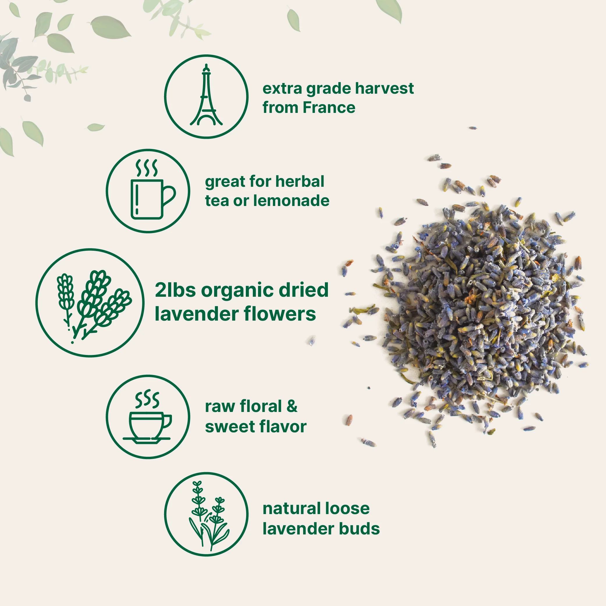 Micro Ingredients Organic Dried Lavender Flowers, 2lbs - Image 3