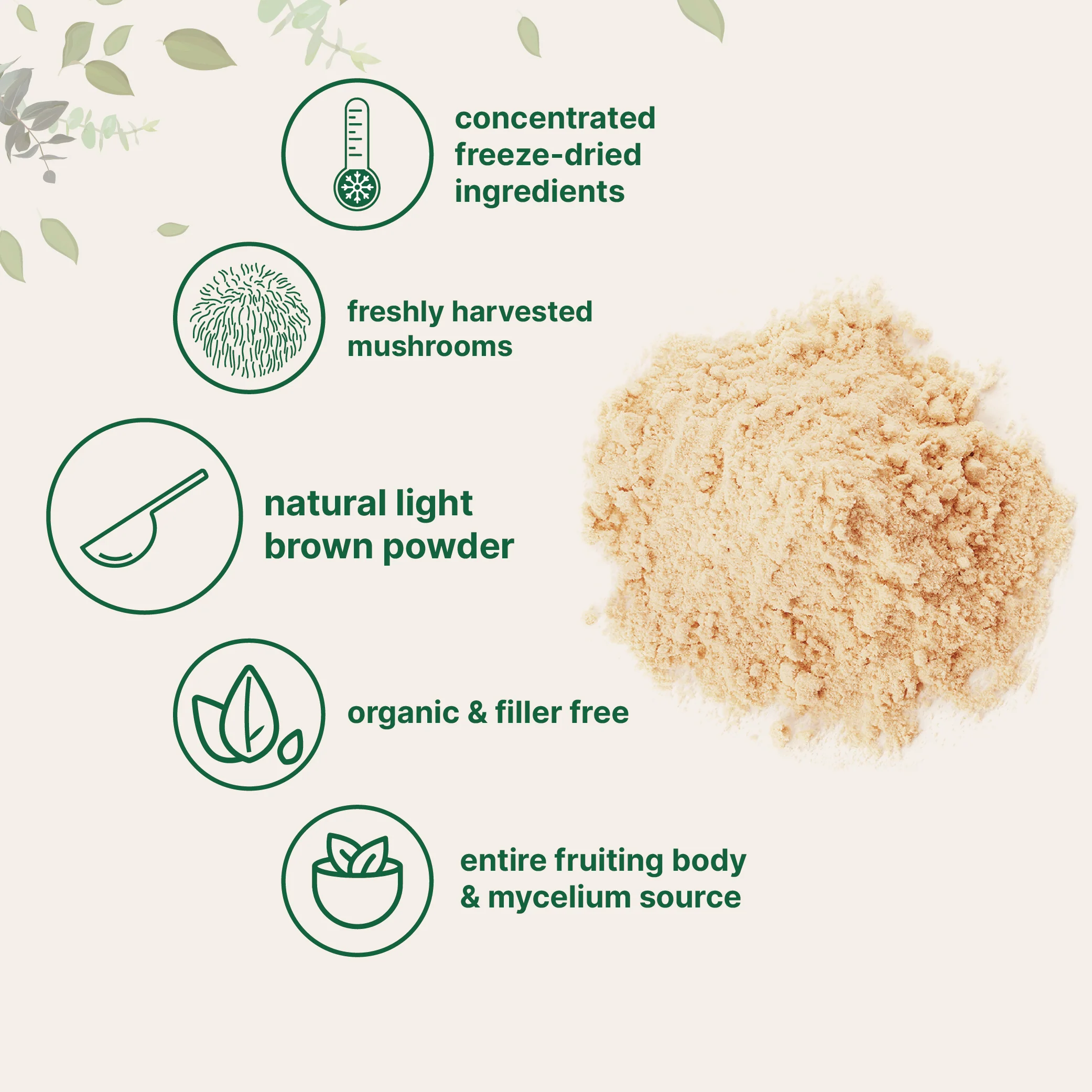 Micro Ingredients Organic Lions Mane Mushroom Supplement Powder - Image 5