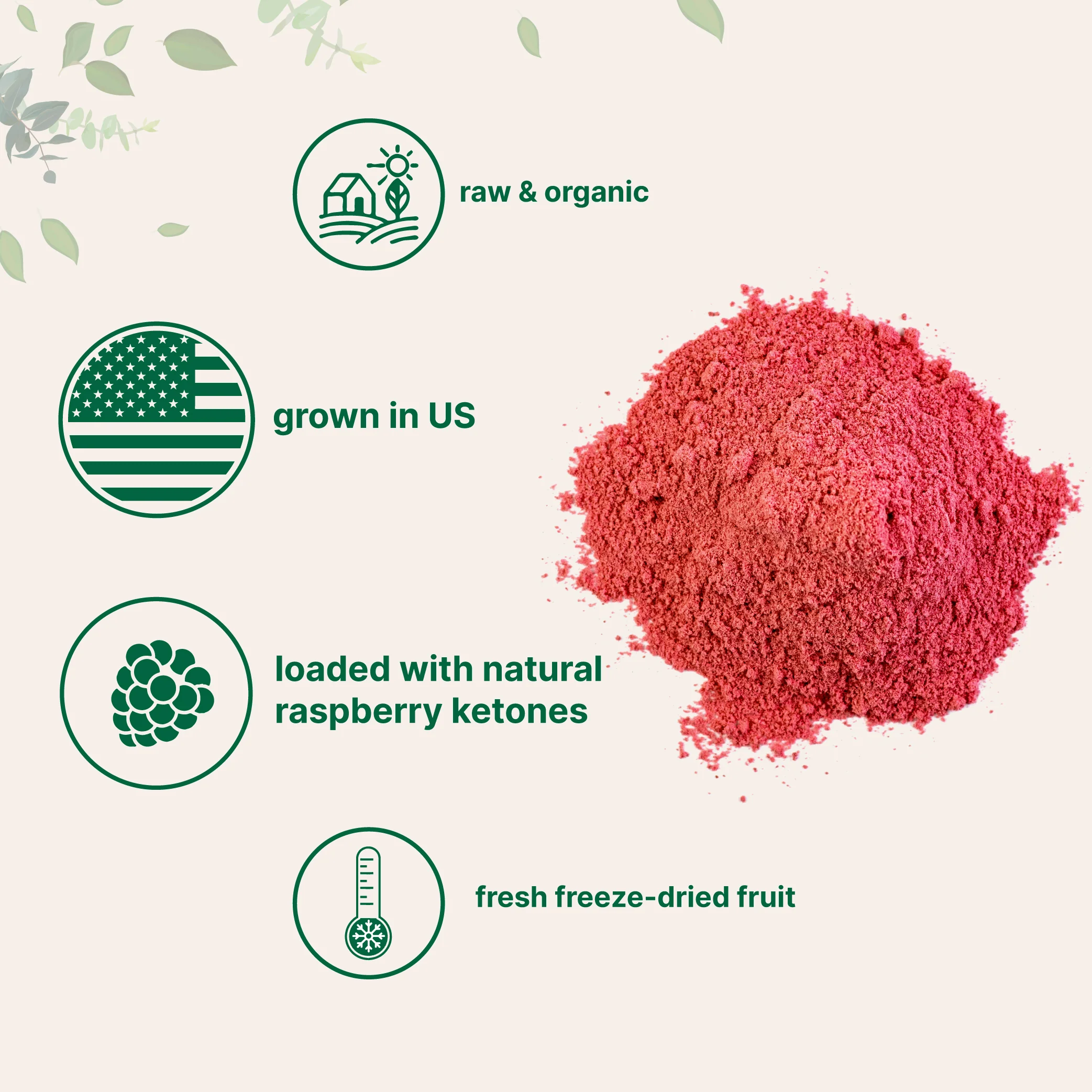 Micro Ingredients Organic Raspberry Juice Powder - Image 3