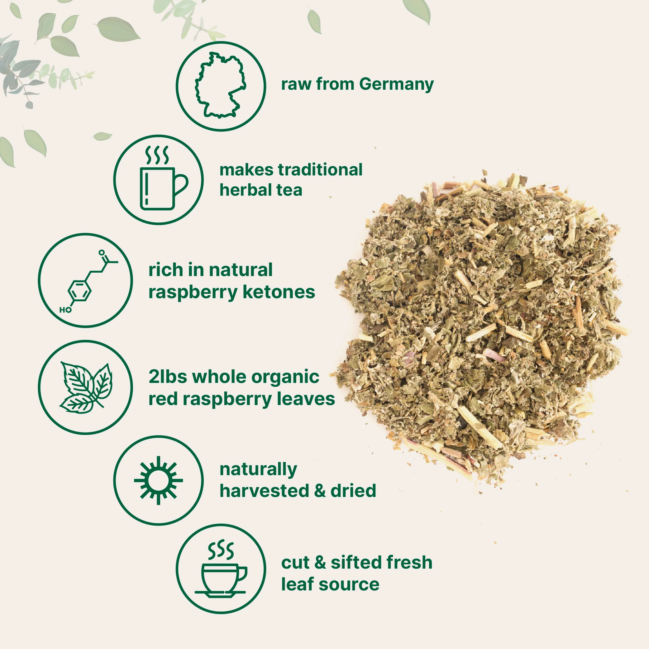 Micro Ingredients Organic Dried Red Raspberry Leaf Tea - Image 3