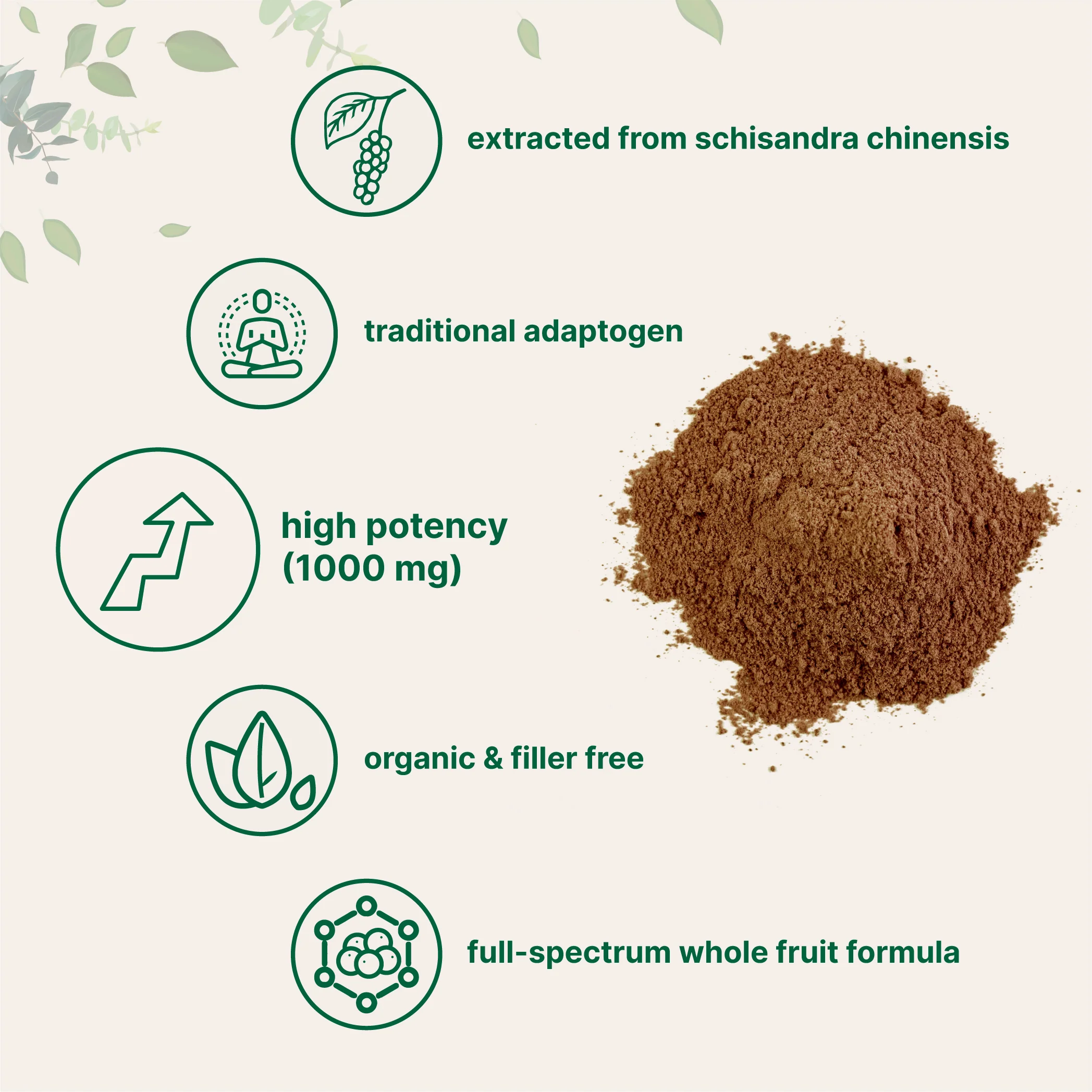 Micro Ingredients Organic Schisandra Berry Powder - Image 3