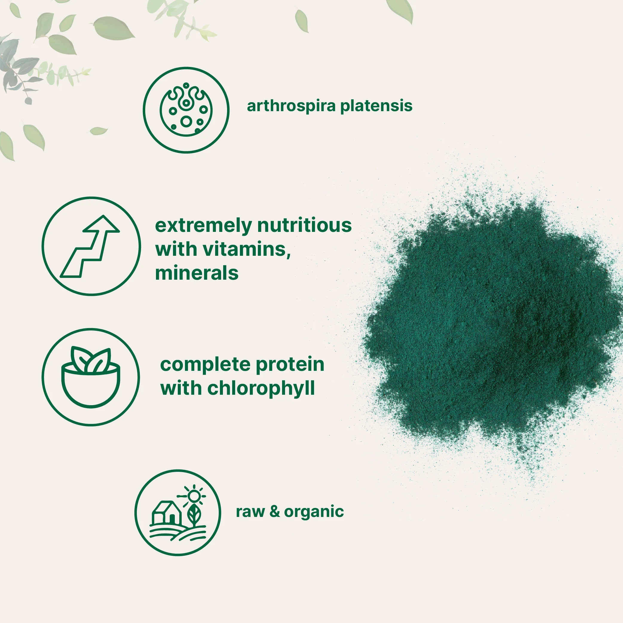Micro Ingredients Organic Spirulina Powder - Image 6