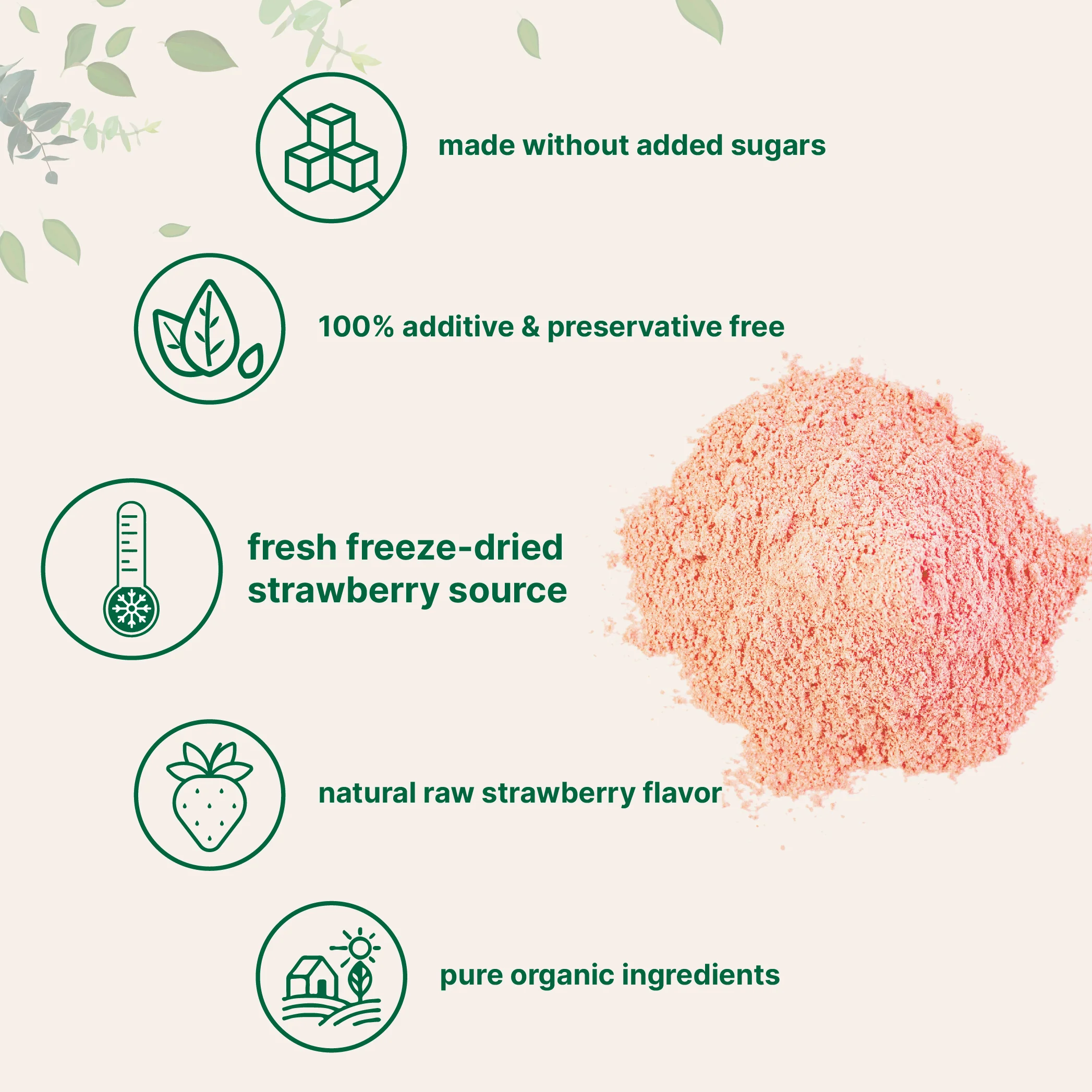 Micro Ingredients Organic Freeze-Dried Strawberry Powder 1 lb - Image 3