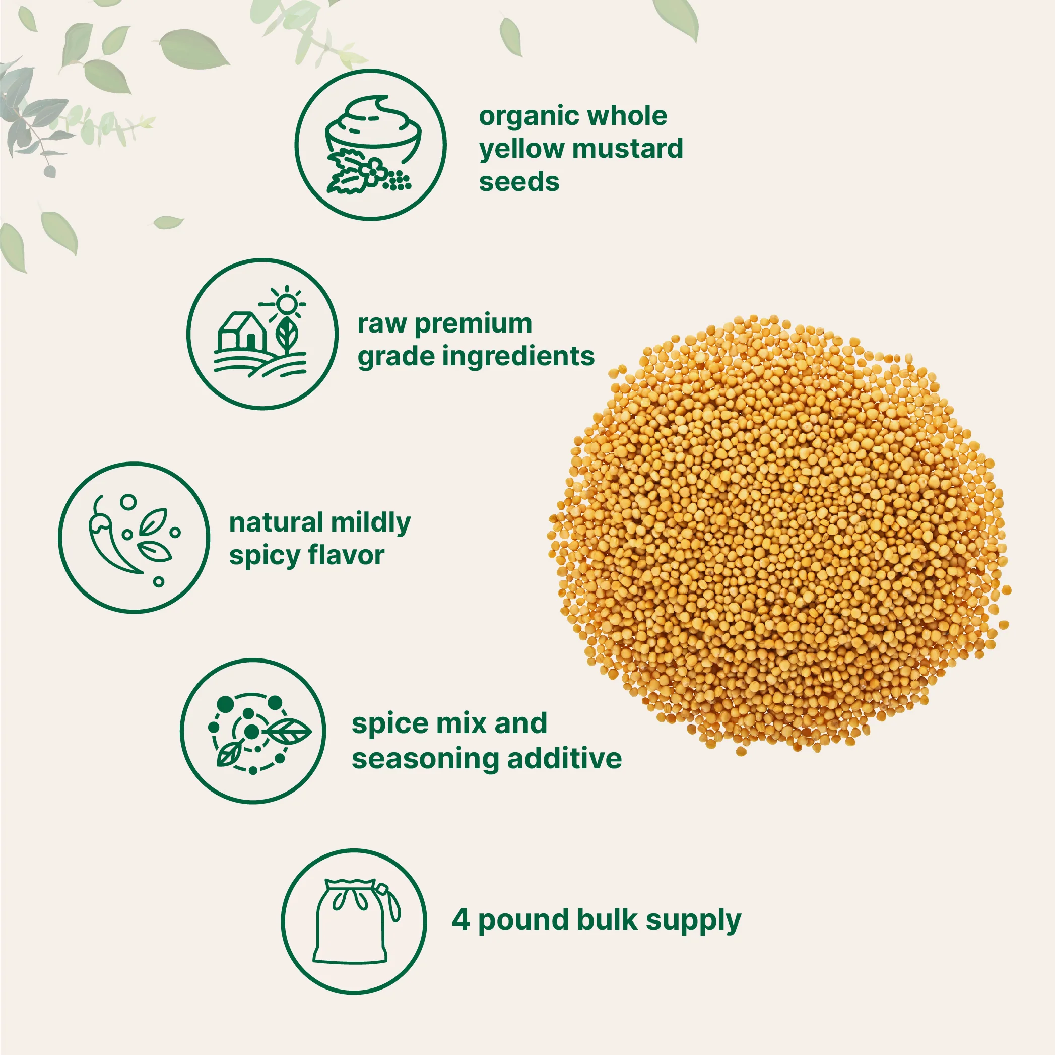 Micro Ingredients Organic Whole Yellow Mustard Seed - Image 3