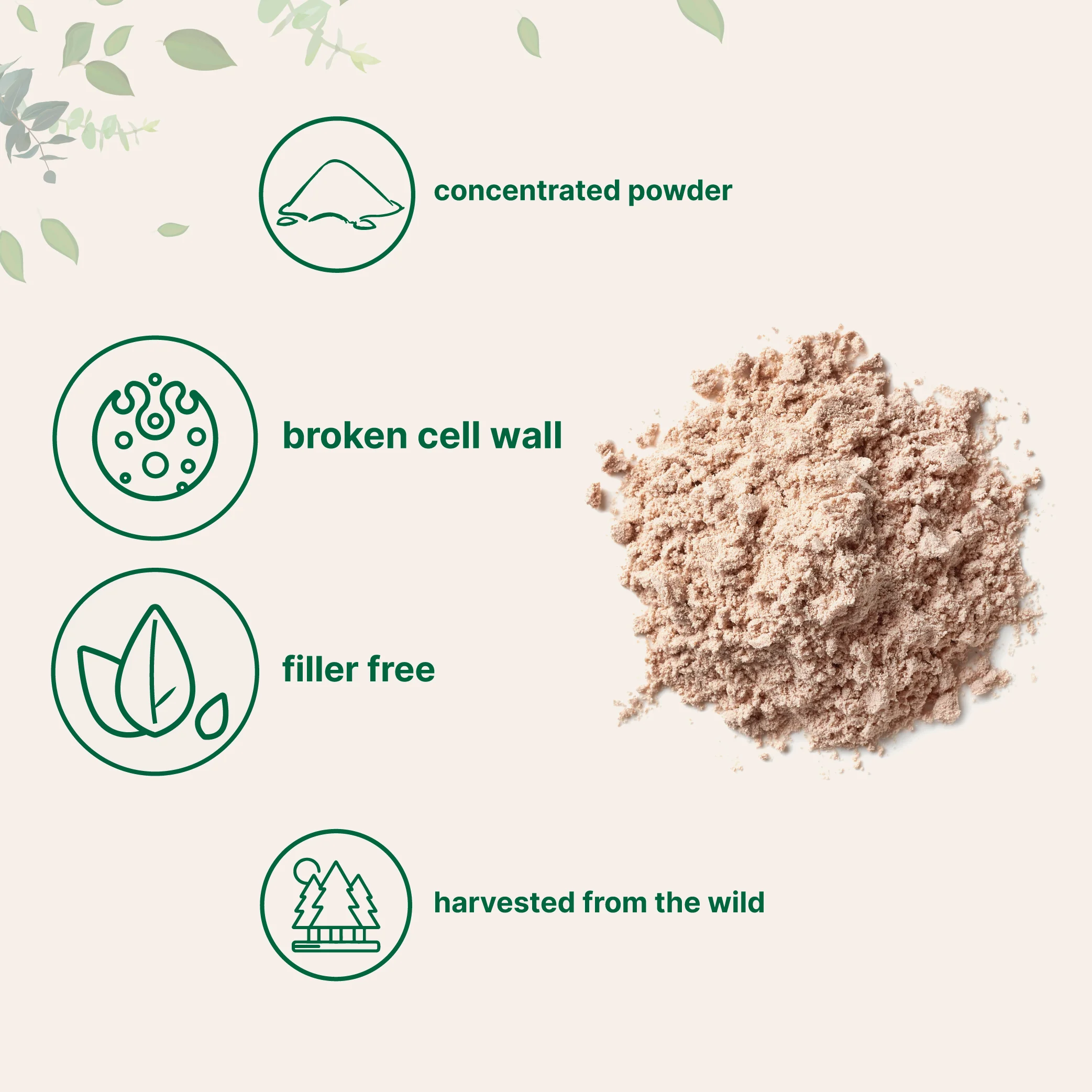 Micro Ingredients Pine Pollen Powder, 6 oz - Image 3