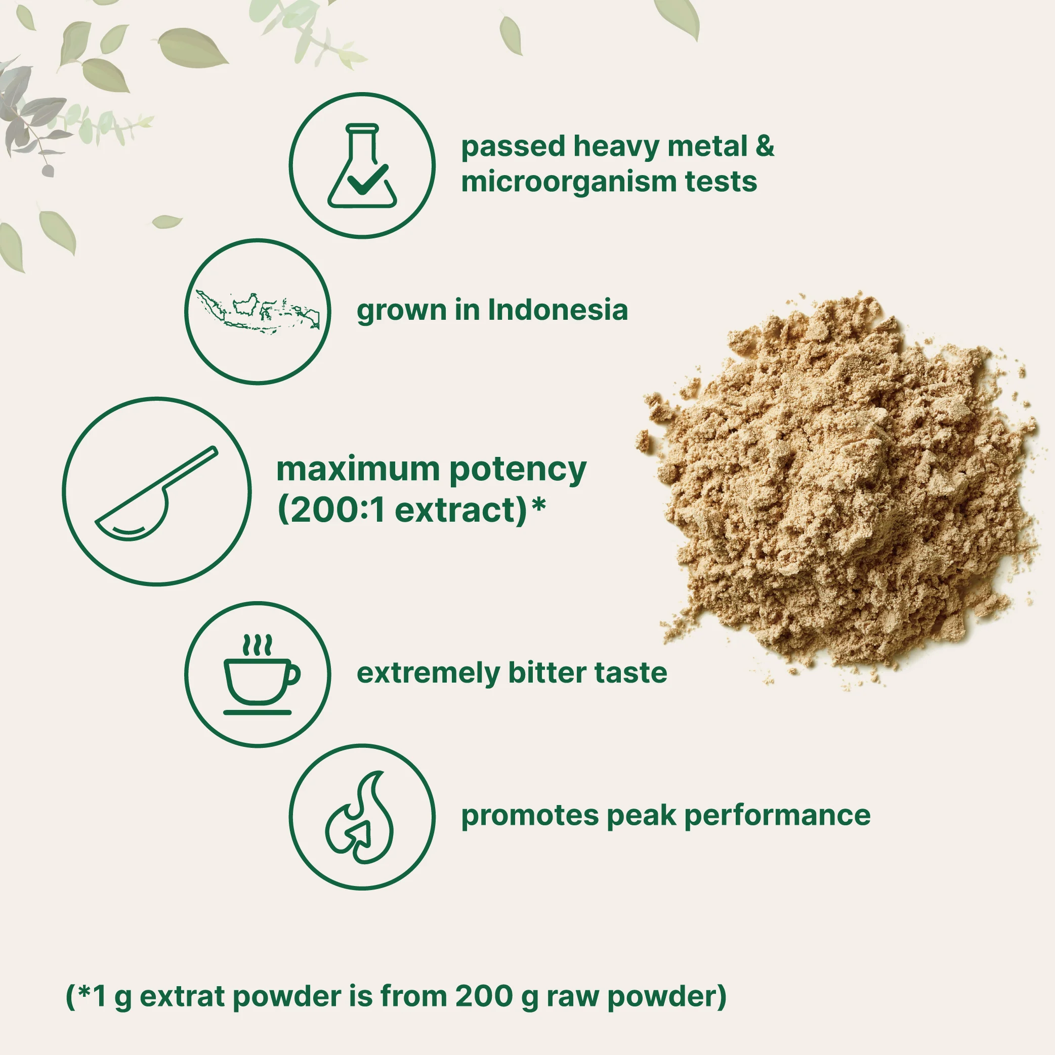 Micro Ingredients Tongkat Ali (longjack) Powder, 100 Grams - Image 3