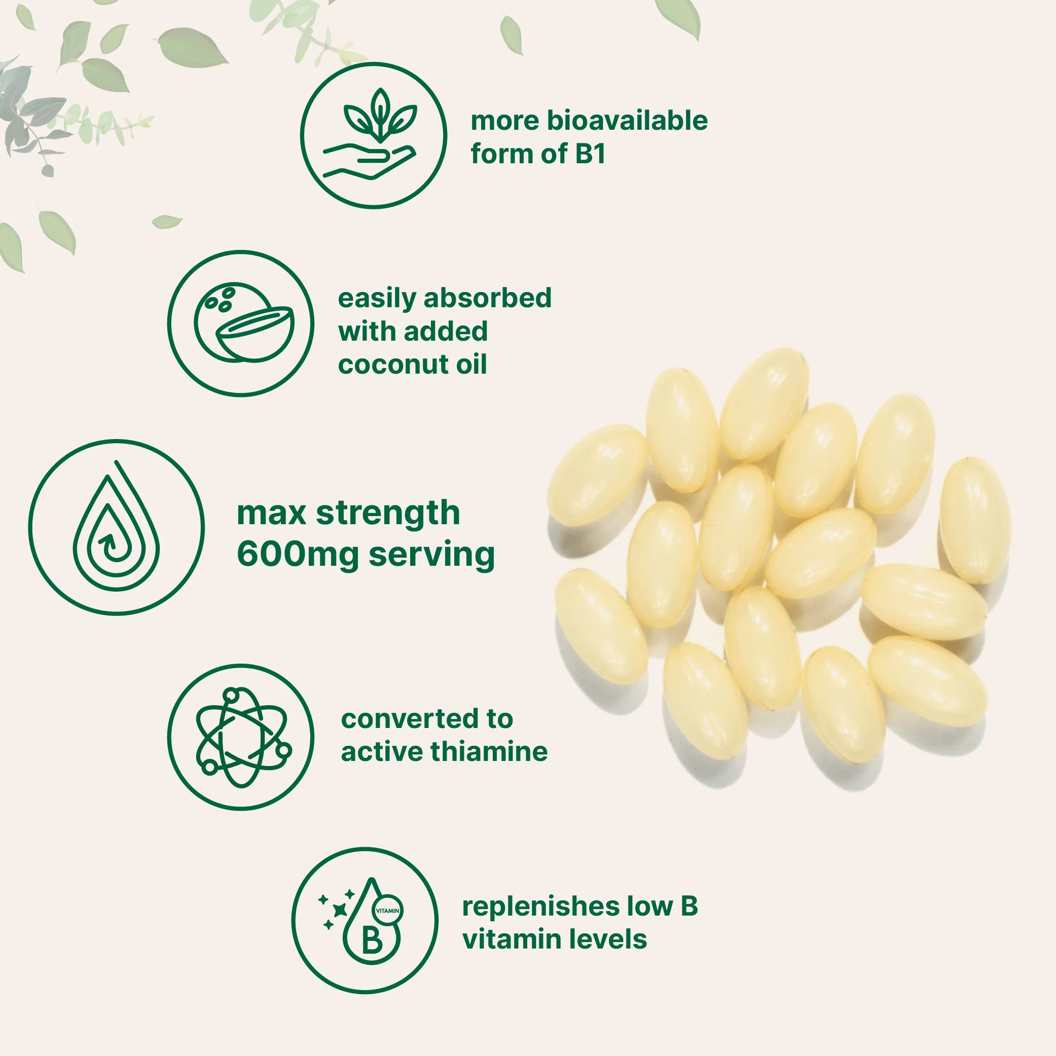 Micro Ingredients Vitamin B1 Benfotiamine, 240 Coconut Oil Softgels - Image 4